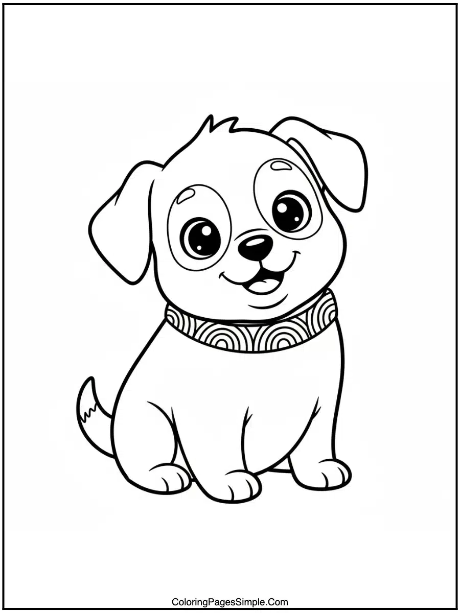 Rainbow Collar Cutie