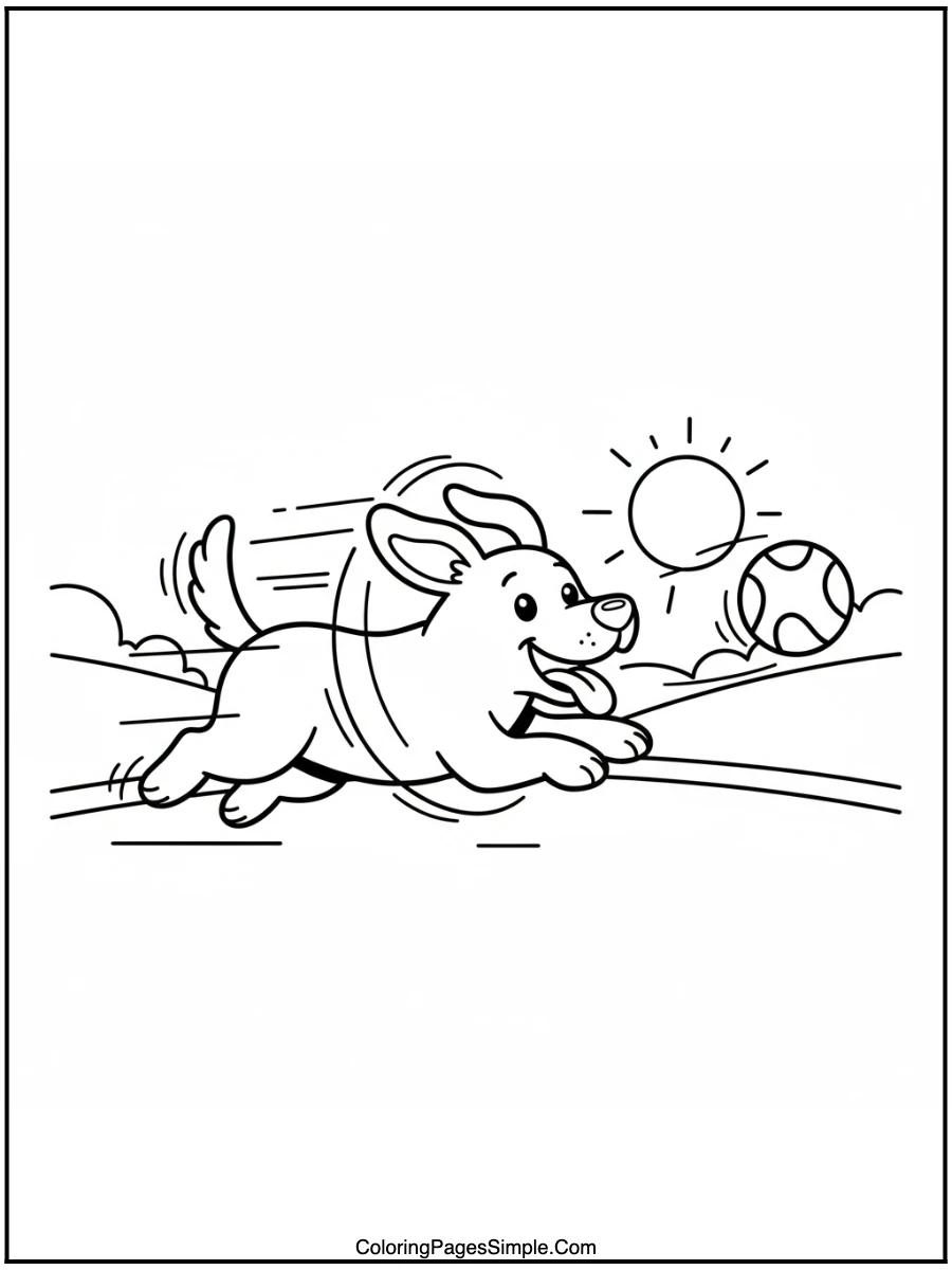 Ball-Chasing Zoomies Blas