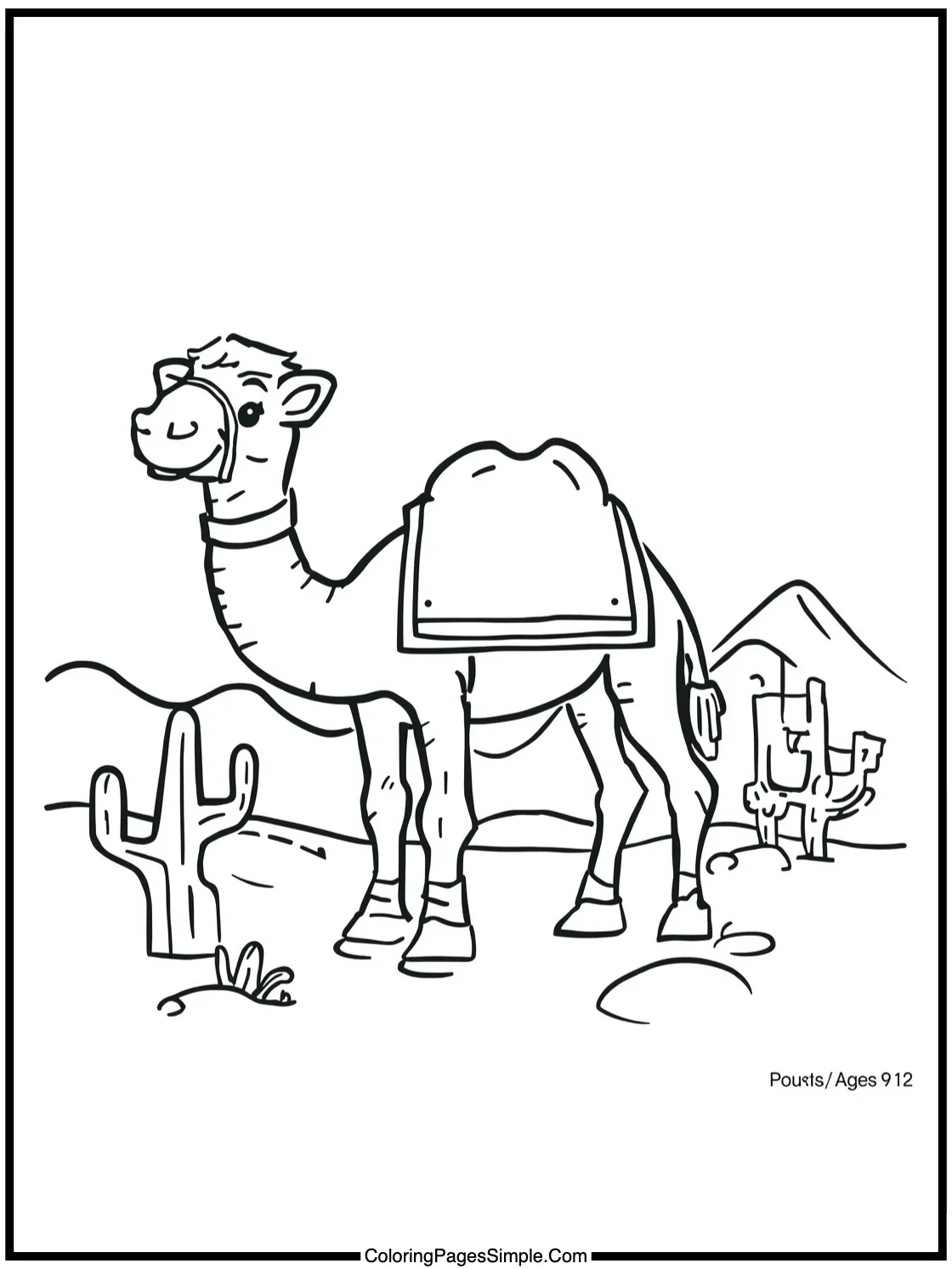 Cute Camel taking a desert selfie.