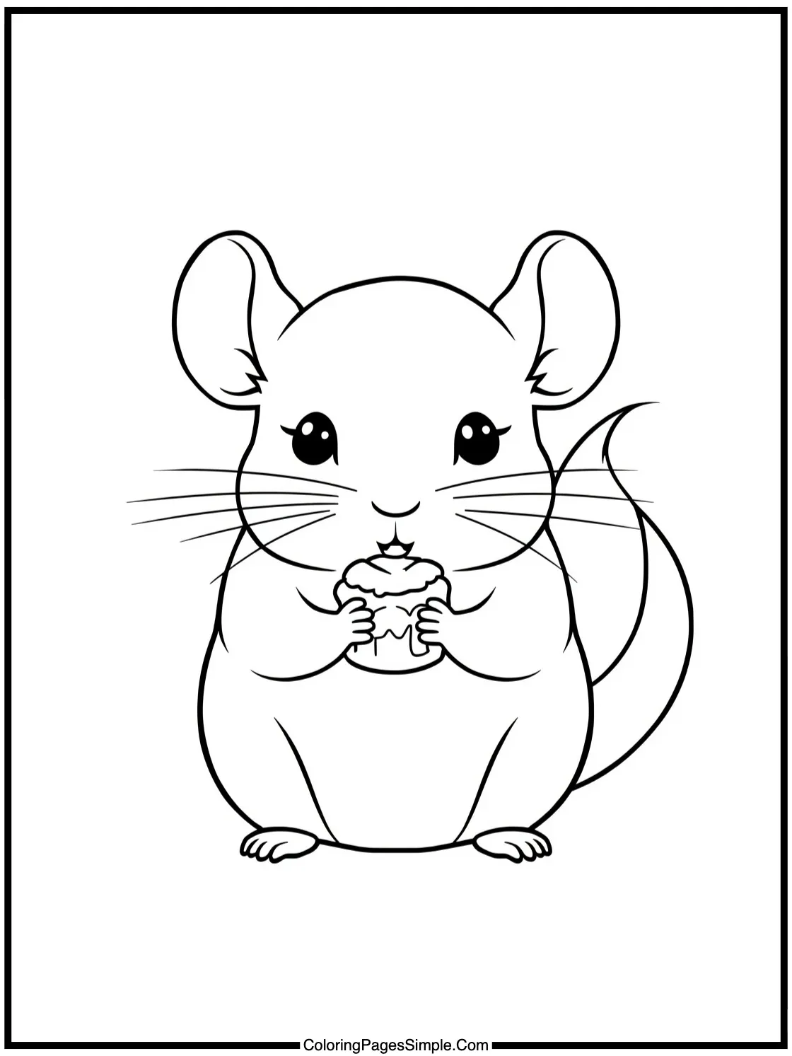 Cute Chinchilla holding a small treat.