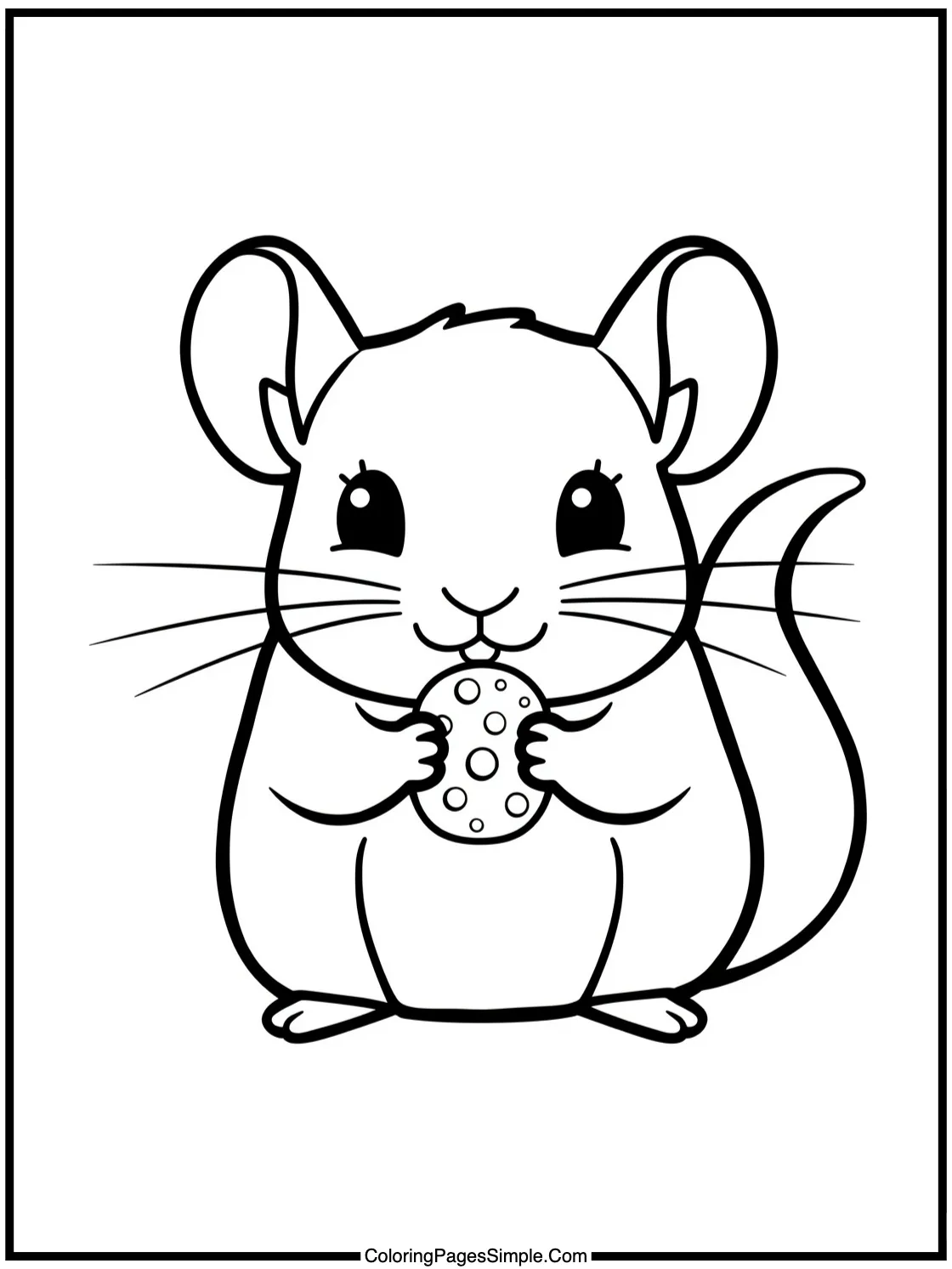 Cute Chinchilla holding a small treat.