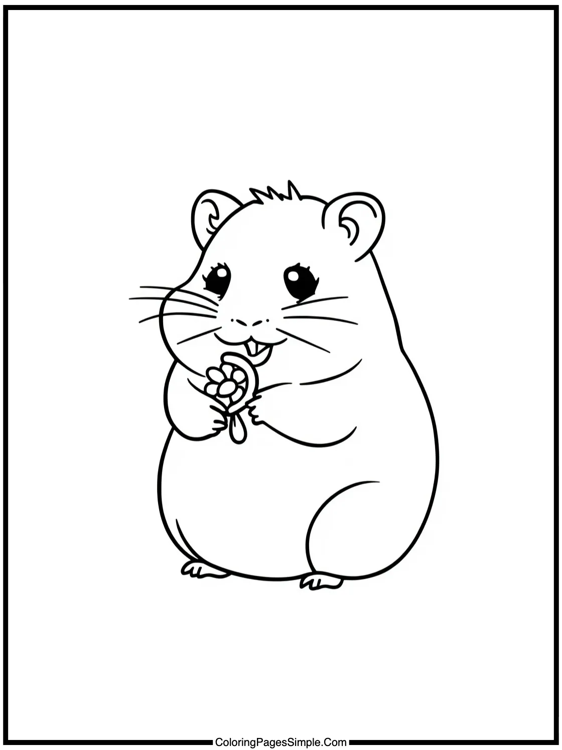 Cute Hamster eating sunflower seed happily.