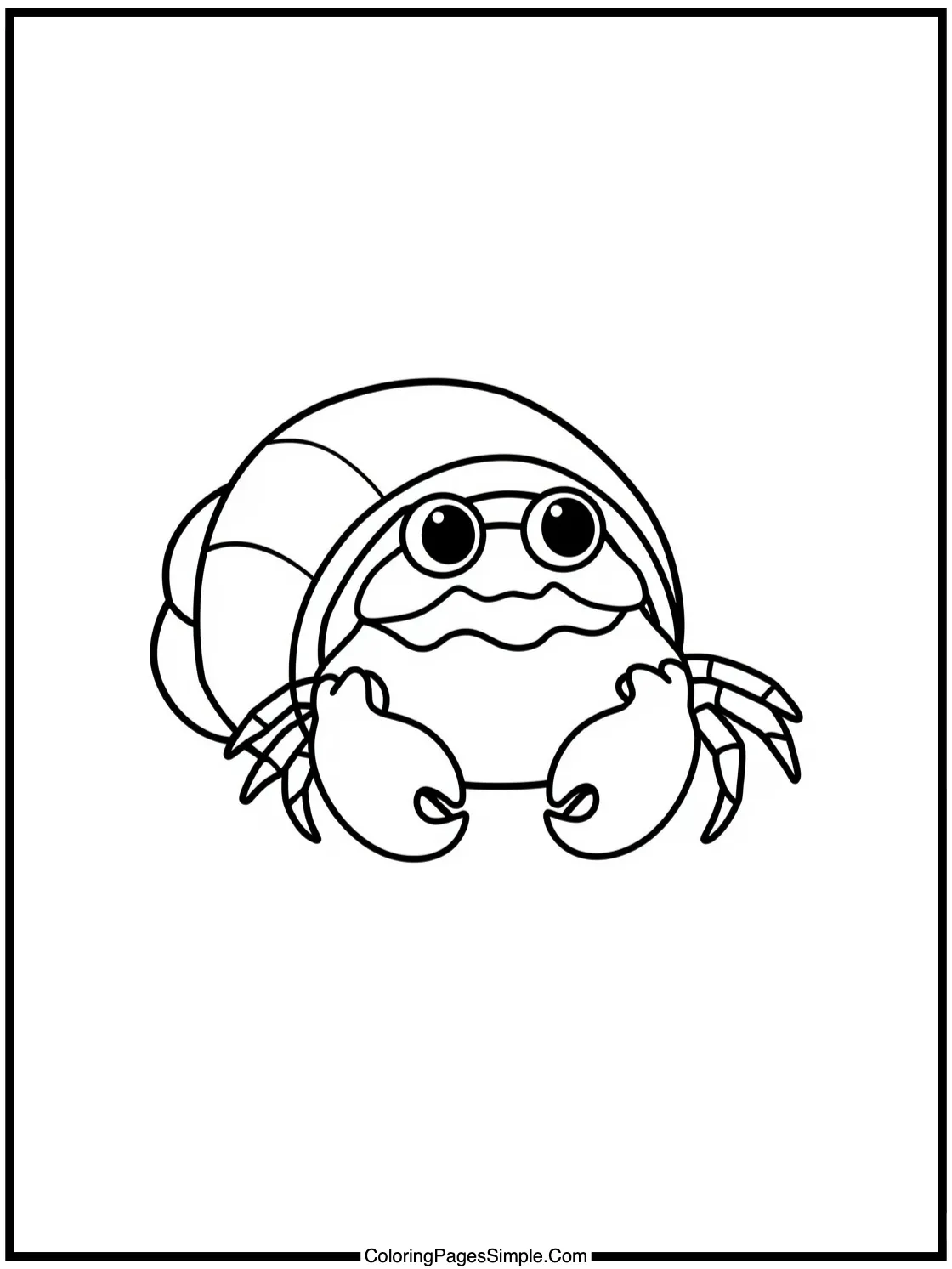 Cute Hermit Crab finding new painted shell.