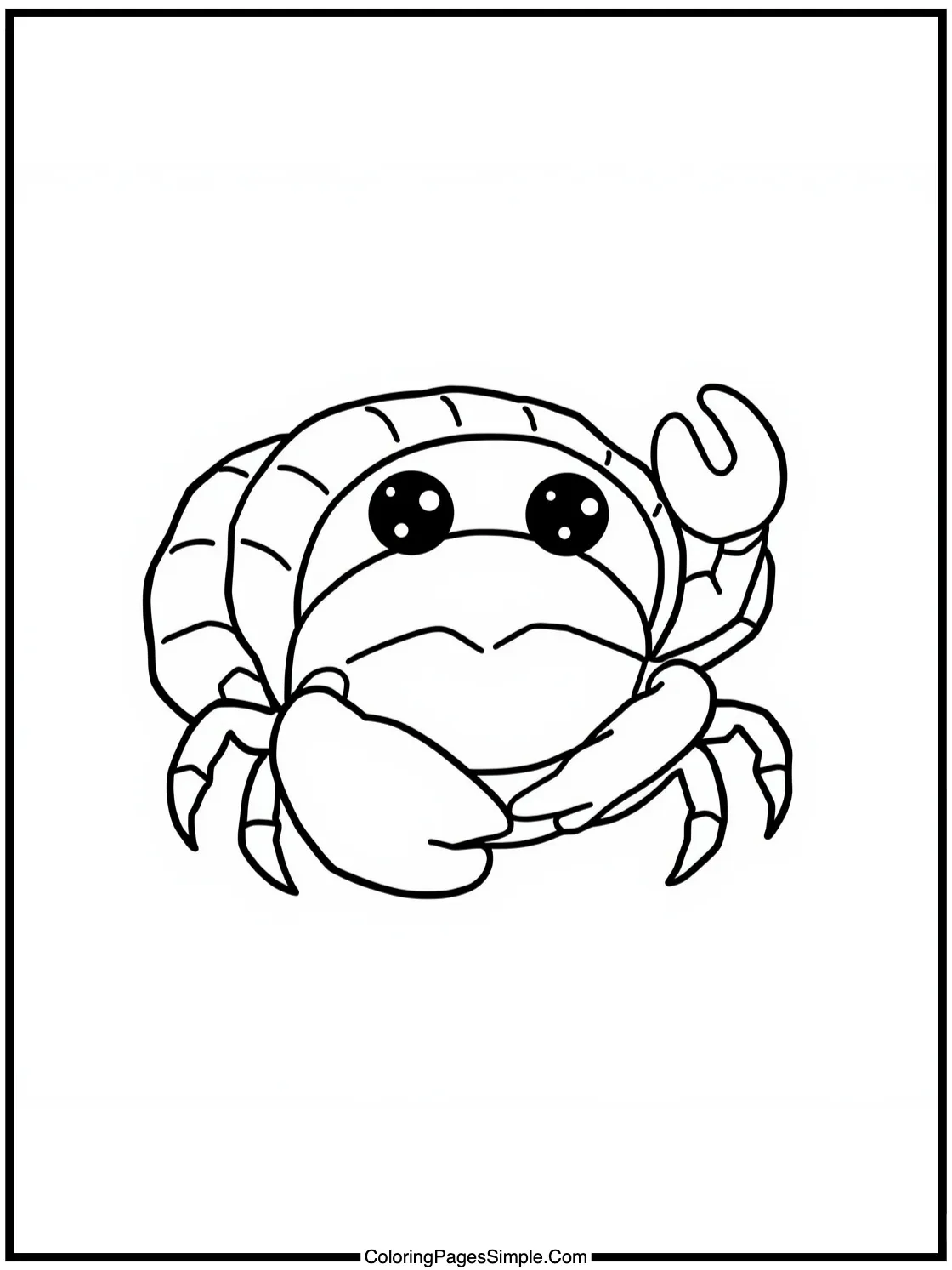 Cute Hermit Crab finding new painted shell.