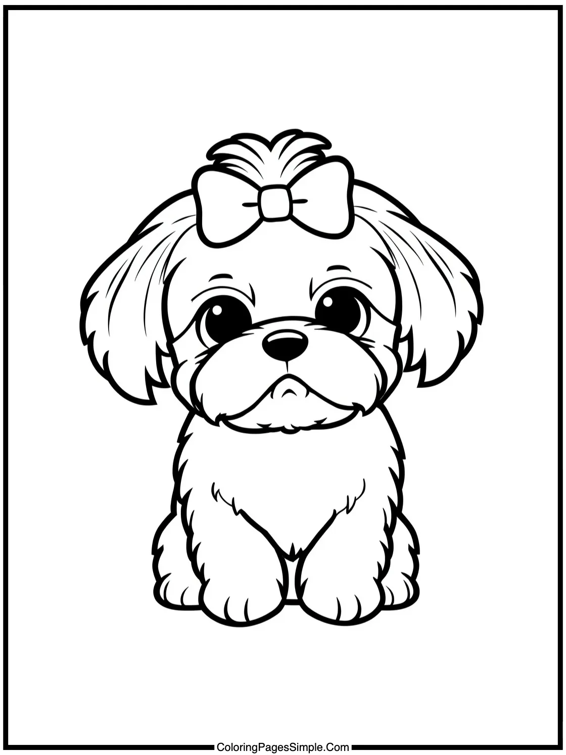 Cute Shih Tzu with fluffy hair bow.