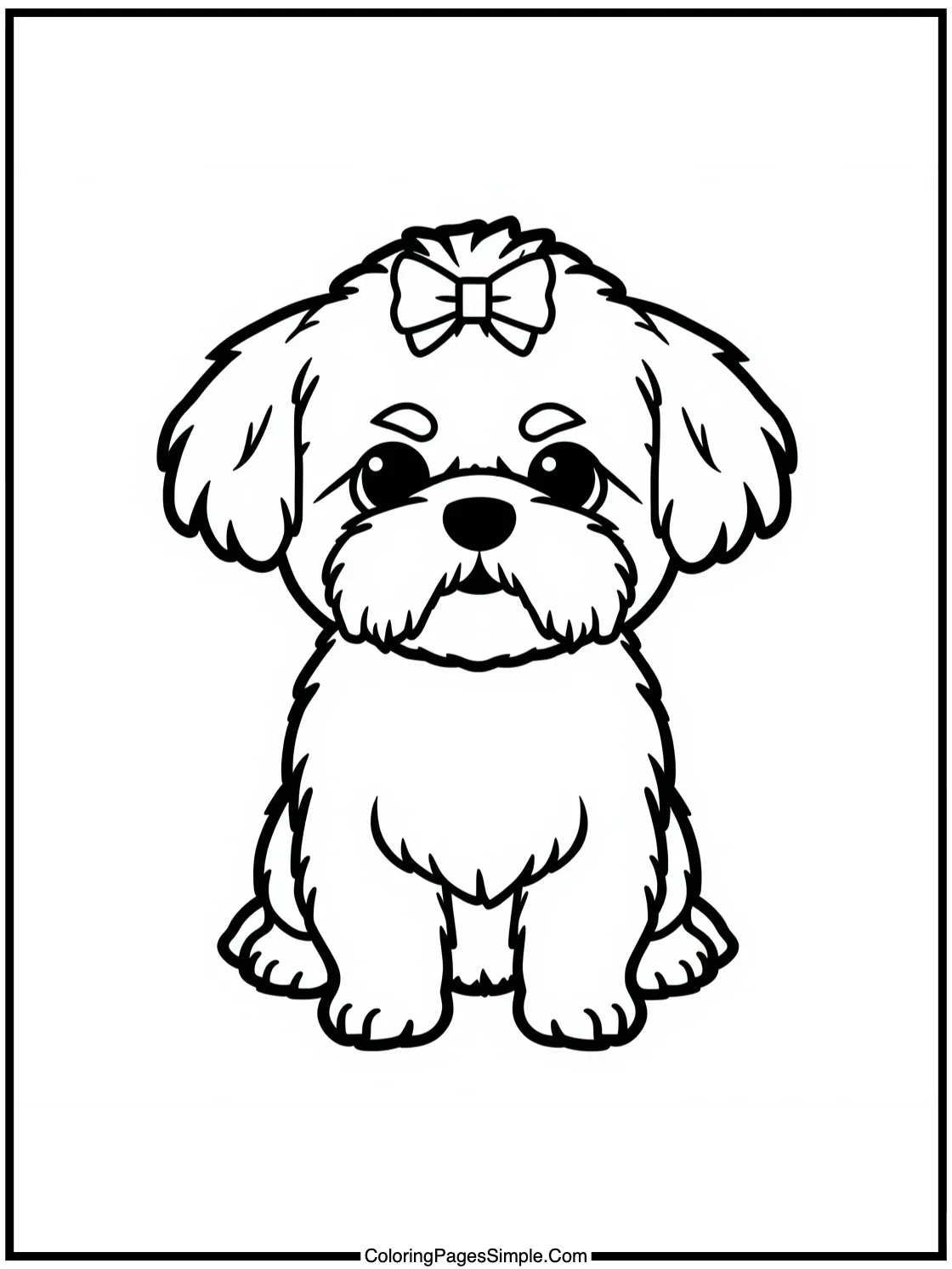 Cute Shih Tzu with fluffy hair bow.
