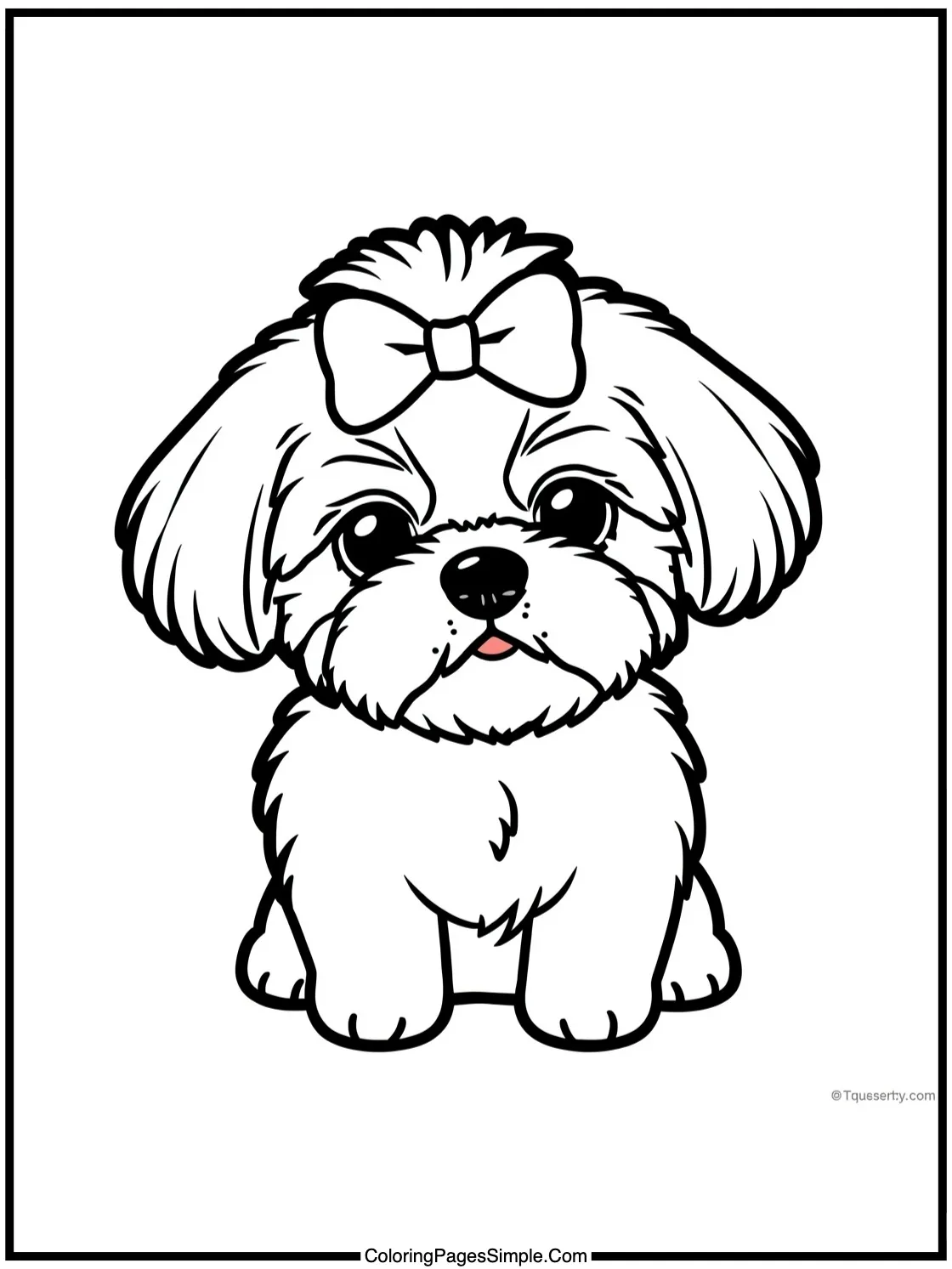 Cute Shih Tzu with fluffy hair bow.
