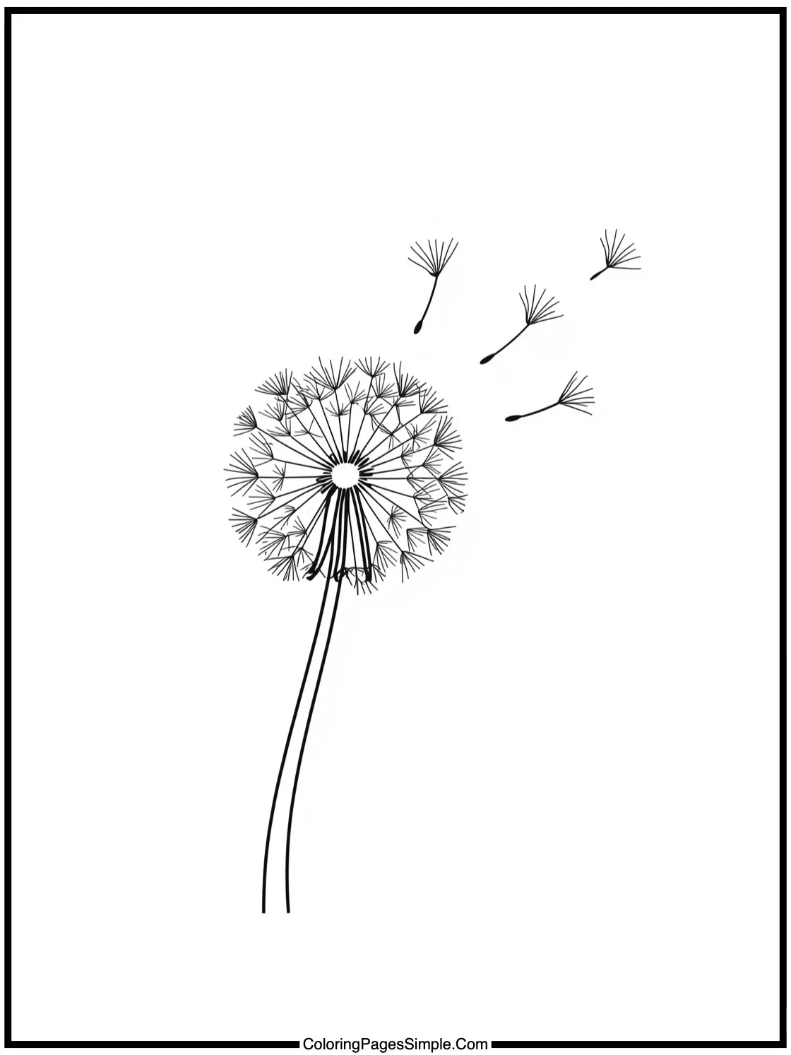 Cute dandelion blowing seeds in wind.