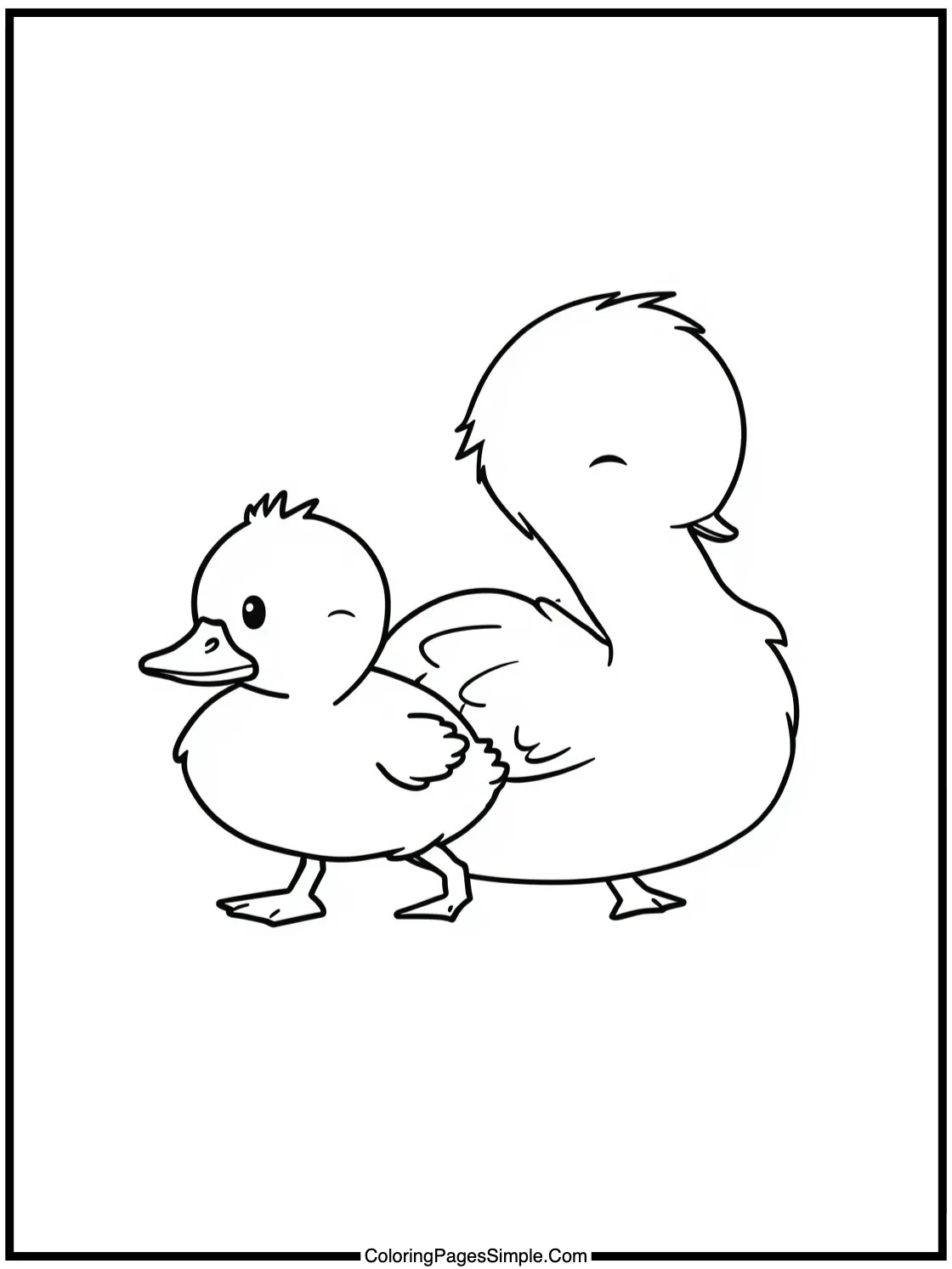 Cute duckling following mama duck closely.