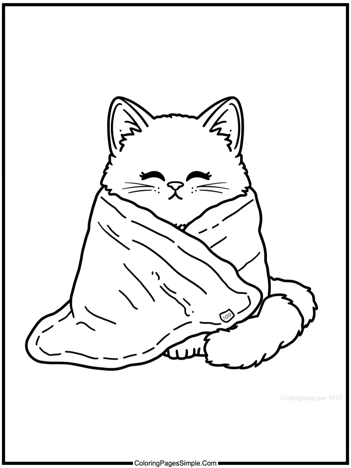 Cute fluffy cat wrapped in blanket.