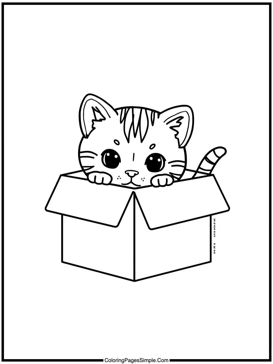 Cute tabby kitten hiding in a box.