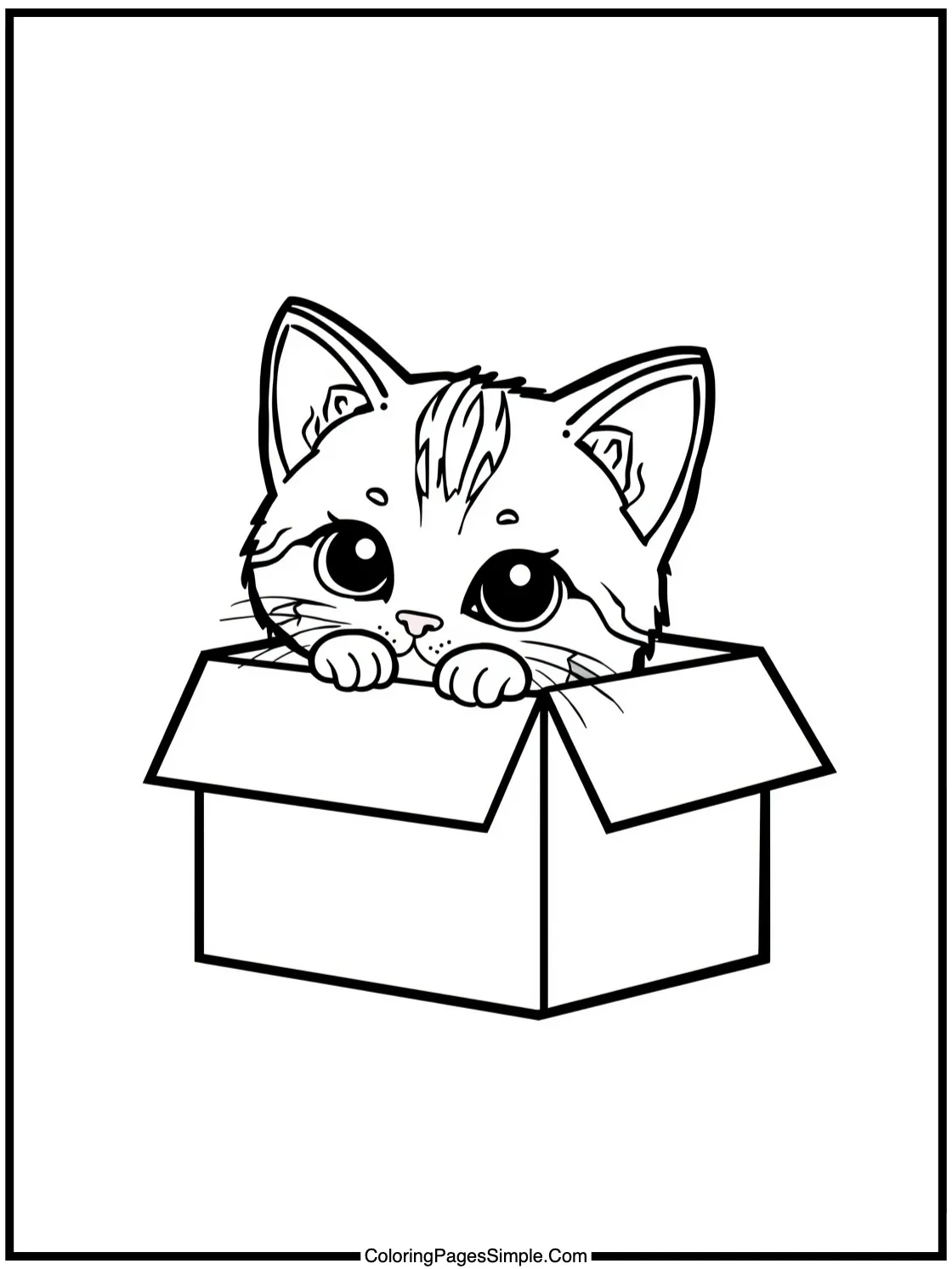 Cute tabby kitten hiding in a box.