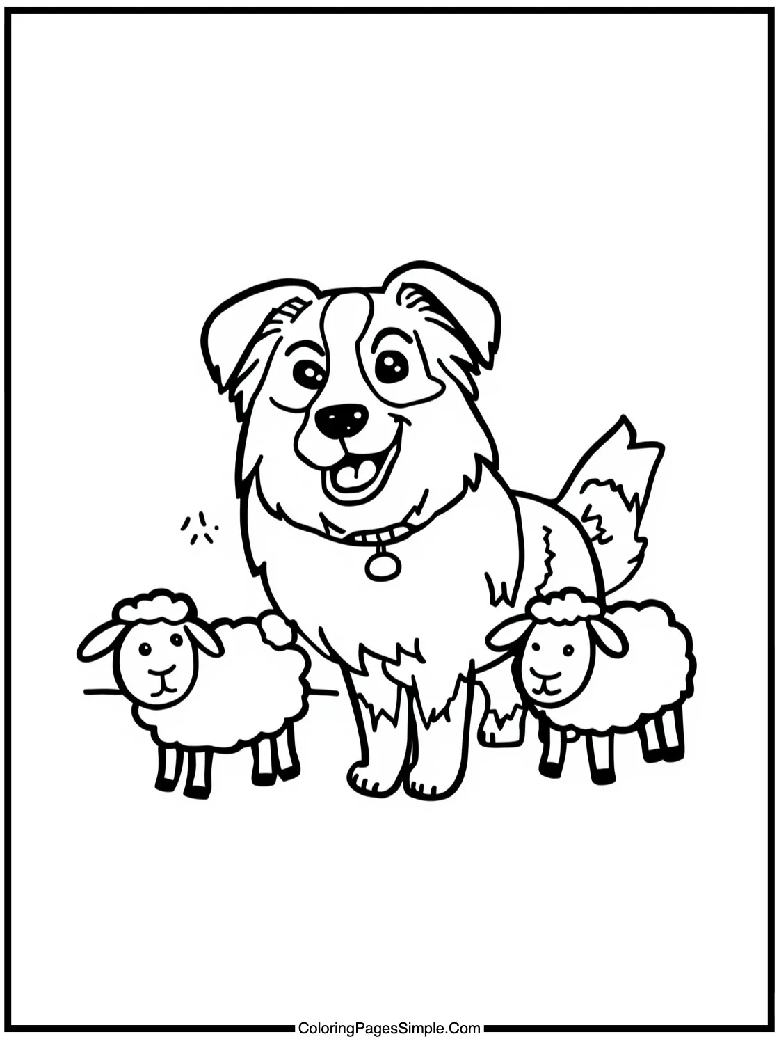 Happy Border Collie herding tiny sheep.