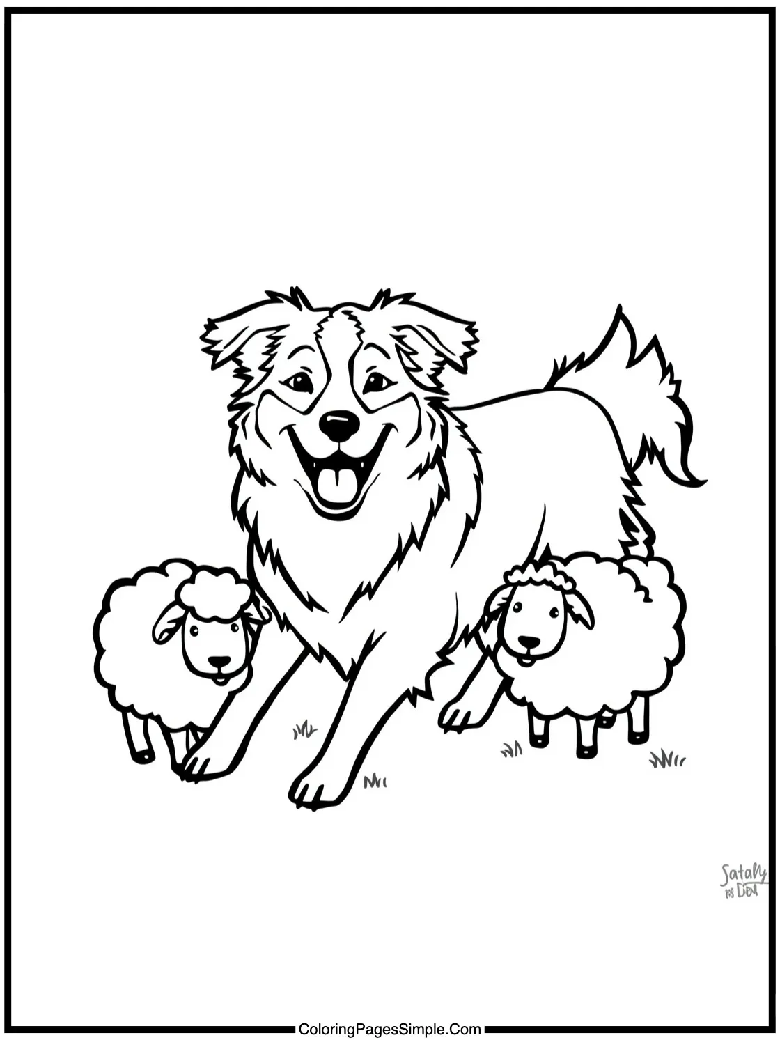 Happy Border Collie herding tiny sheep.