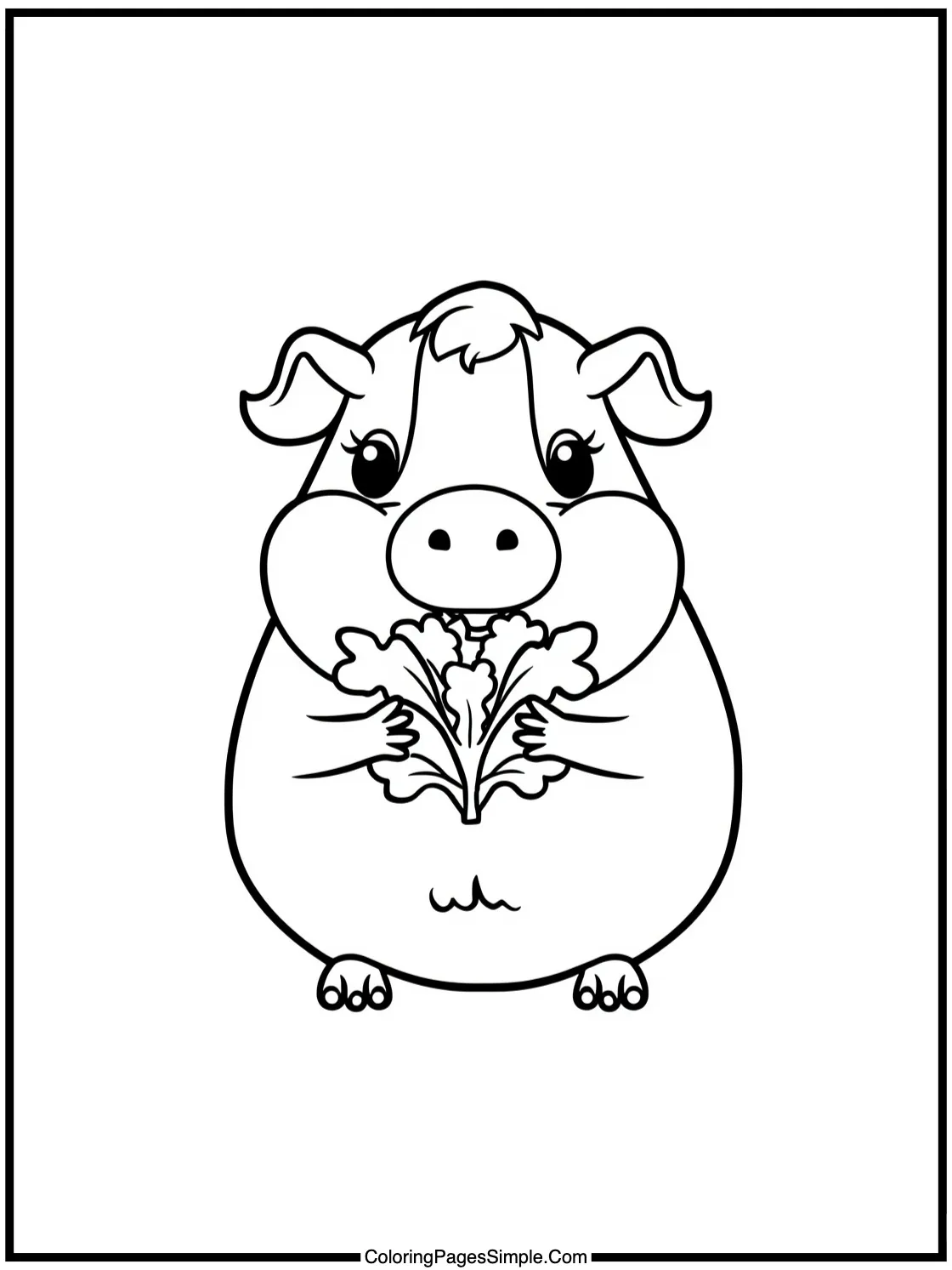 Happy Guinea Pig eating lettuce leaf.