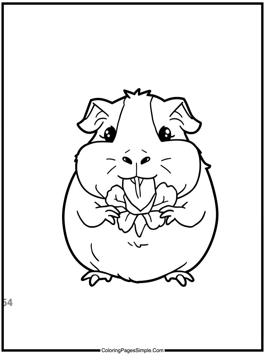 Happy Guinea Pig eating lettuce leaf.