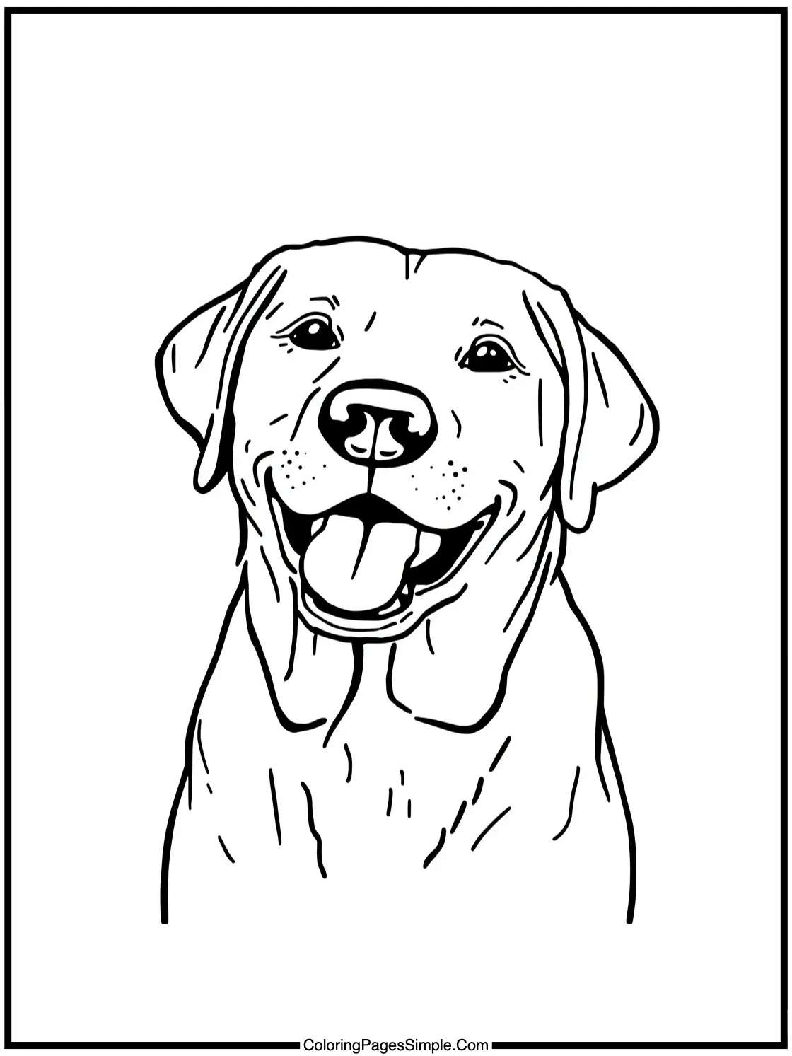 Happy Labrador posing for a photo.