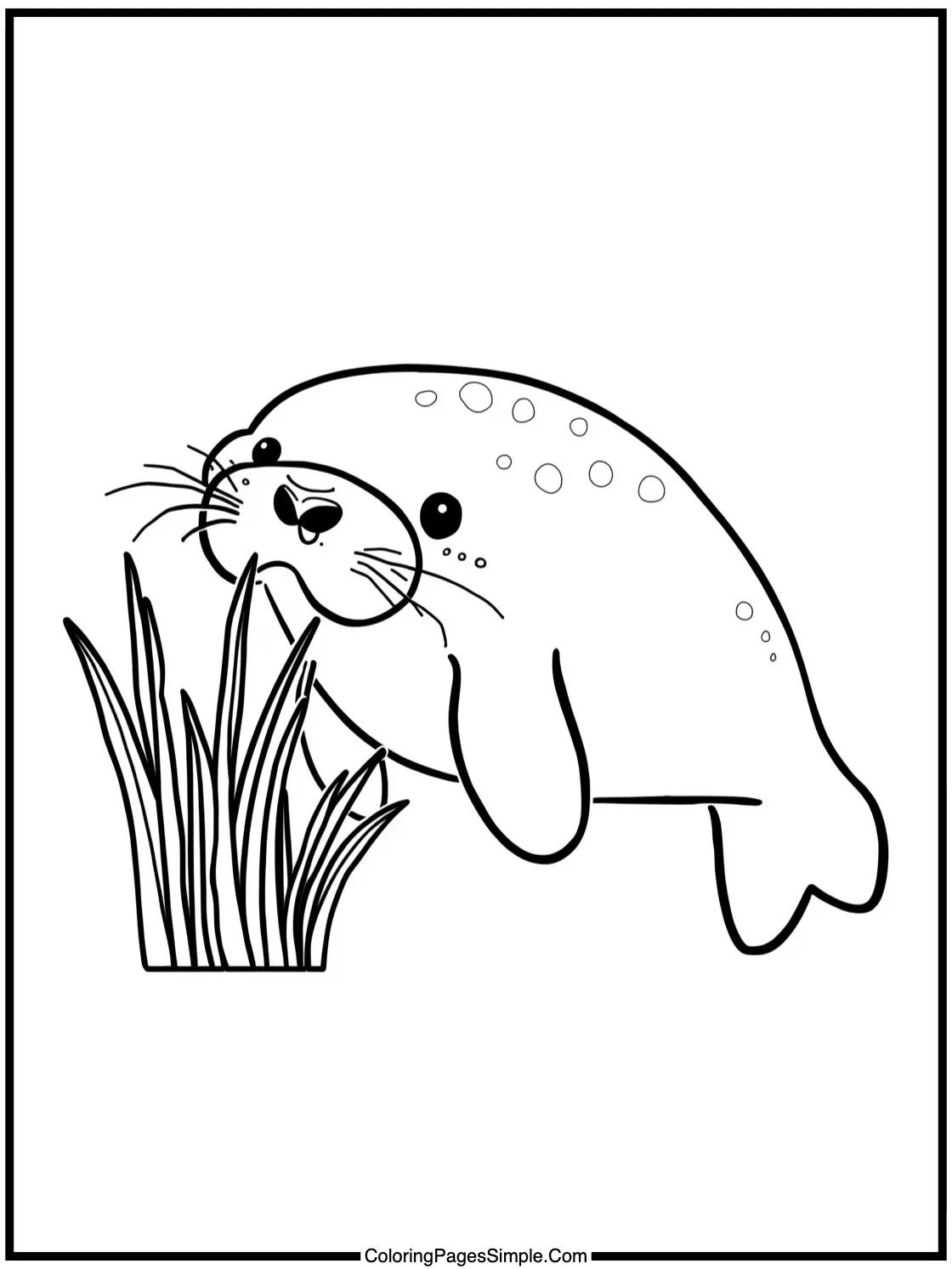 Happy Manatee eating sea grass slowly.