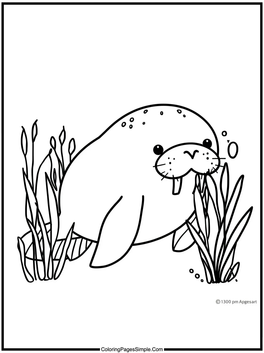 Happy Manatee eating sea grass slowly.