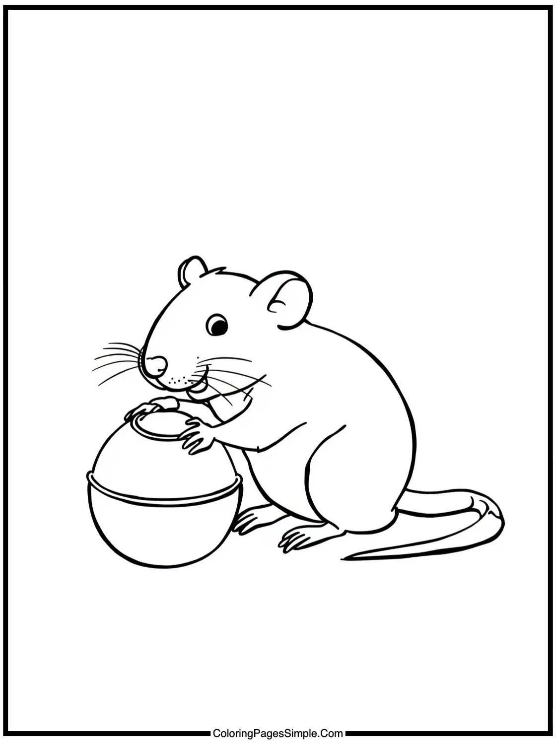 Happy pet rat playing with a toy.