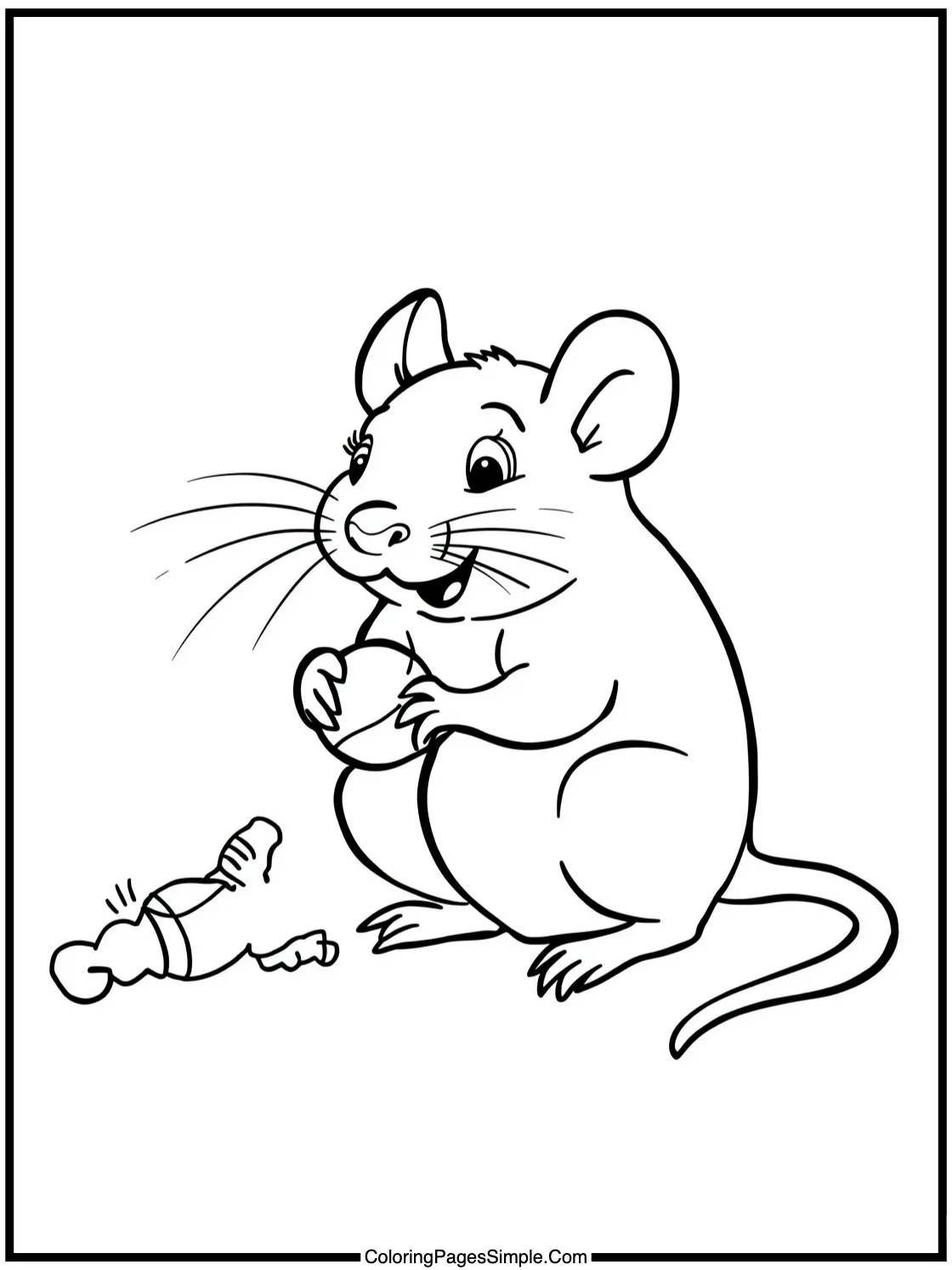 Happy pet rat playing with a toy.