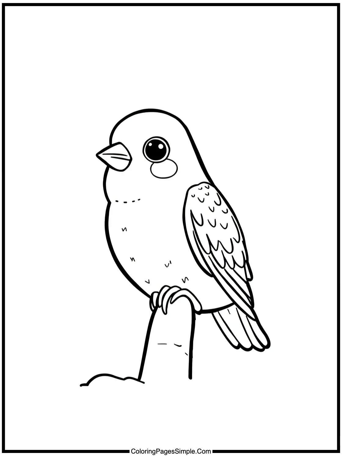 Kawaii Budgie perched on a finger.