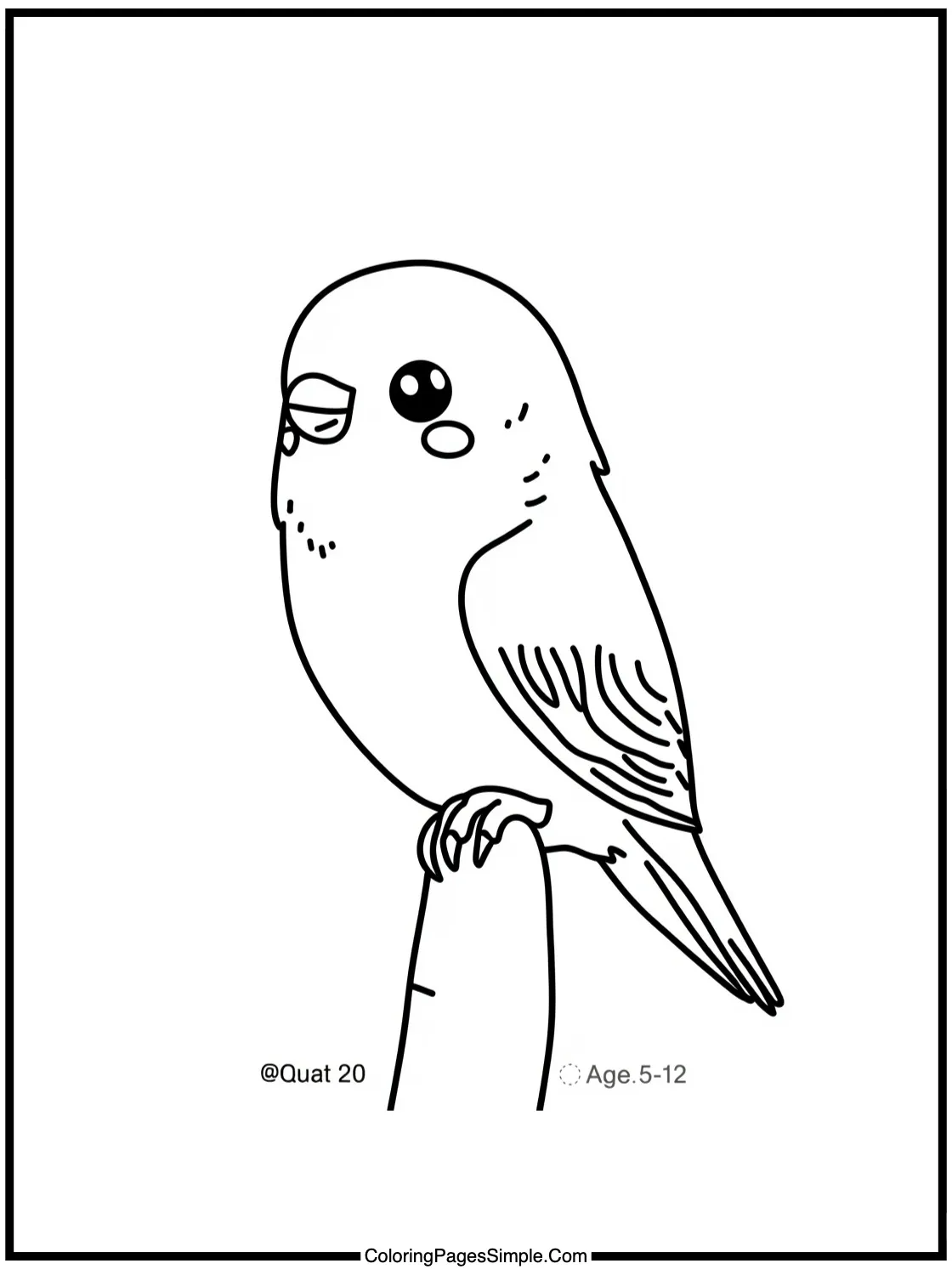 Kawaii Budgie perched on a finger.