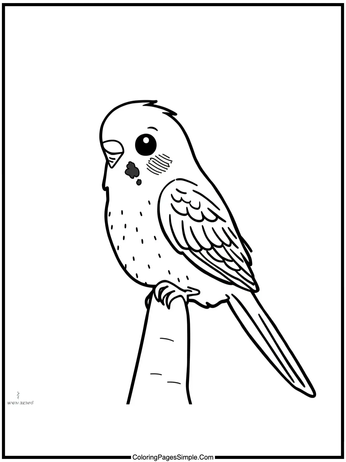 Kawaii Budgie perched on a finger.