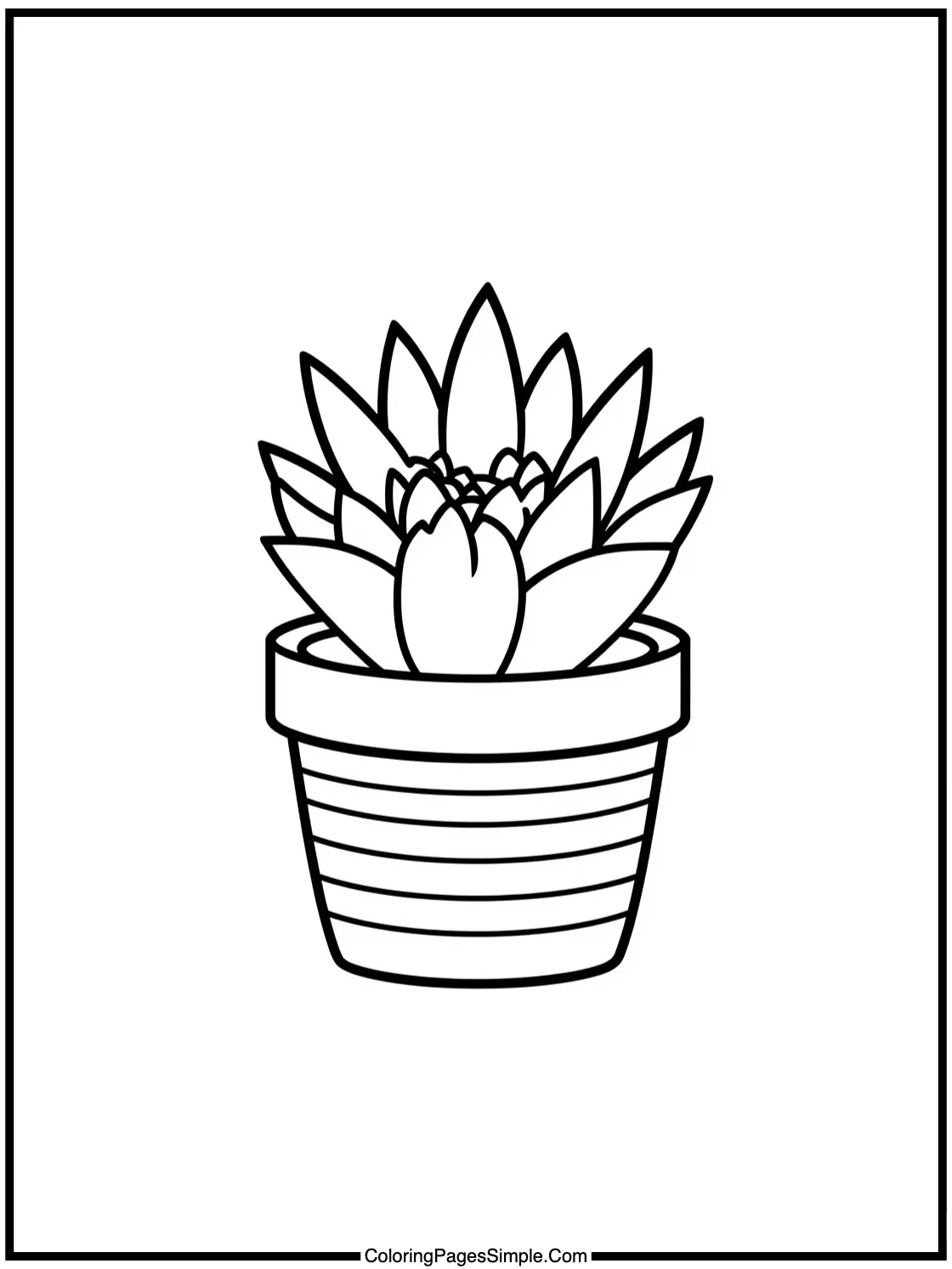 Kawaii Succulent Plant in a Striped Pot.