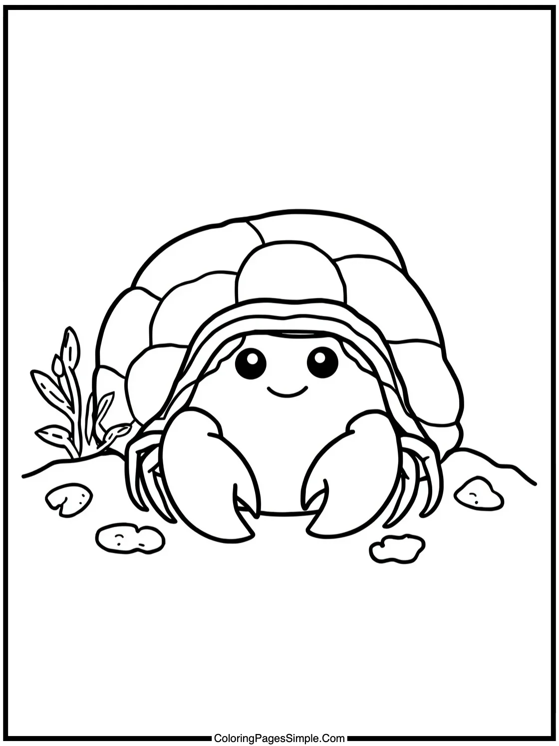 Kawaii hermit crab finding new home.