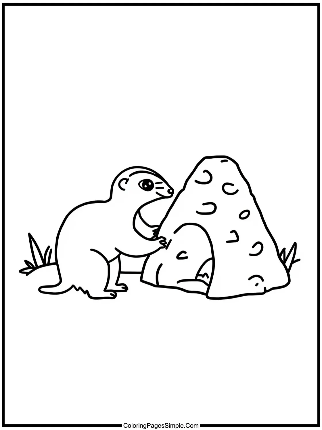 Little Anteater finding an anthill friend.