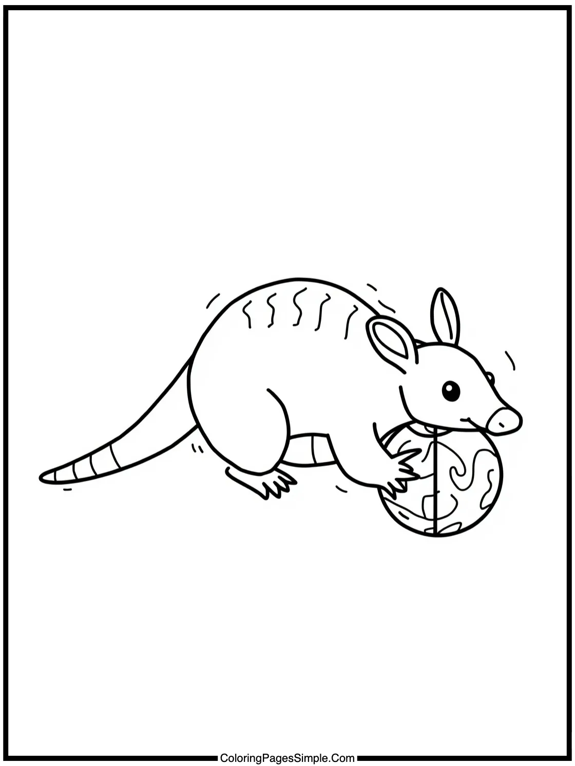 Little Armadillo rolling into a ball.