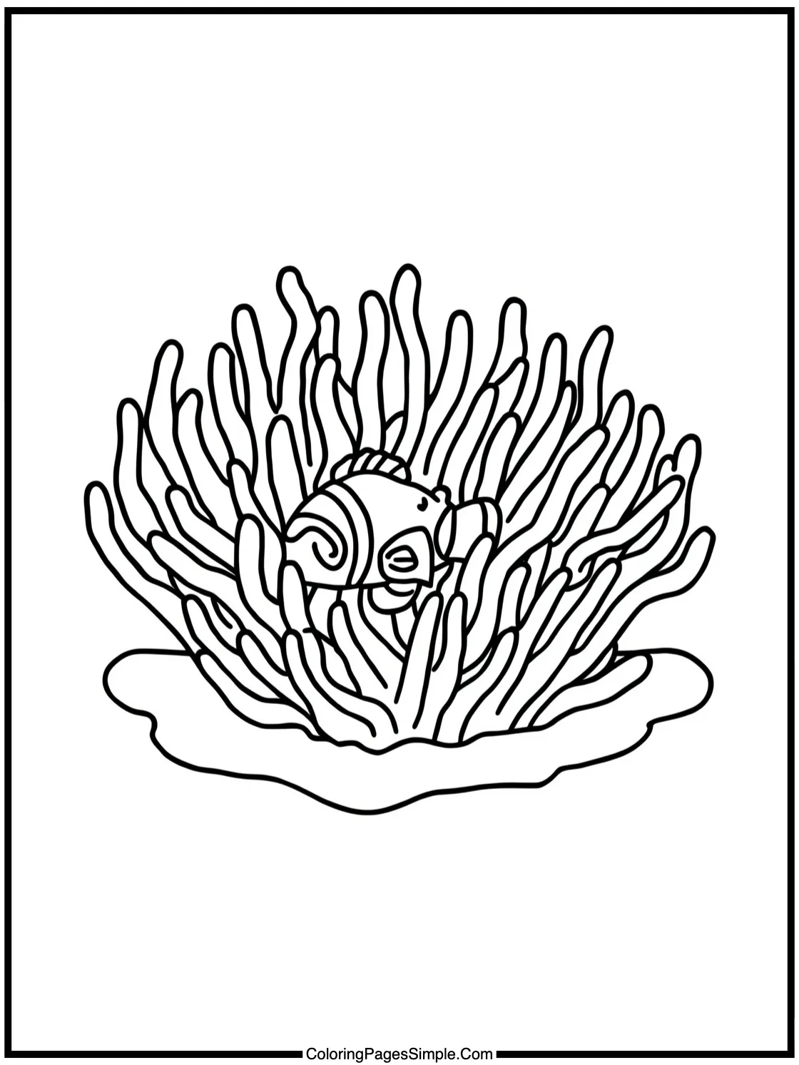 Little Clownfish hiding in a cozy anemone.