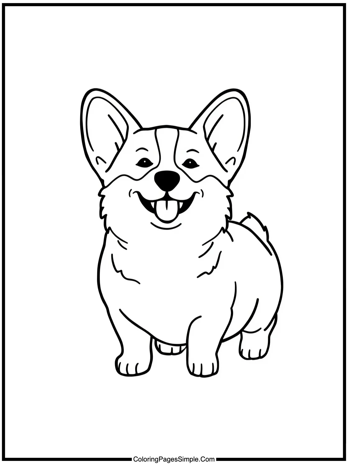 Little Corgi waddling with joy.