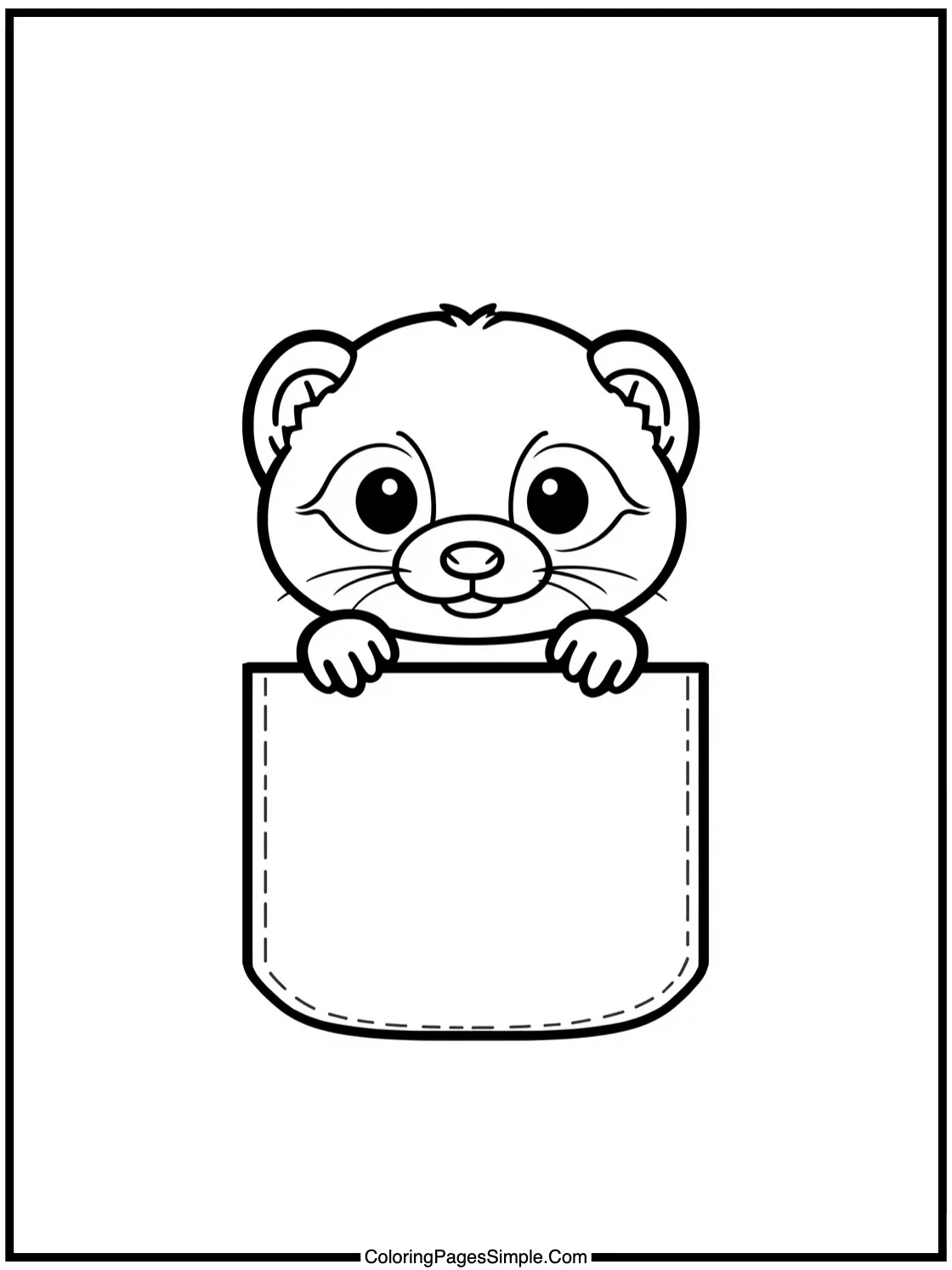 Little Ferret peeking out of pocket.