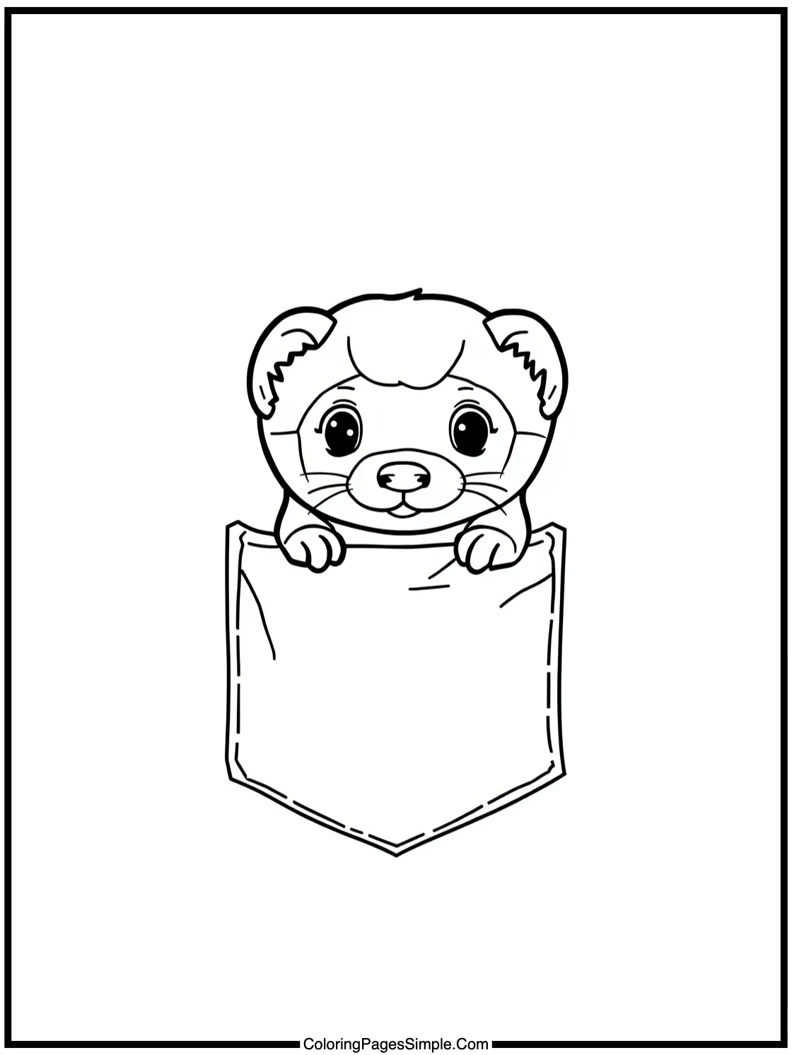 Little Ferret peeking out of pocket.