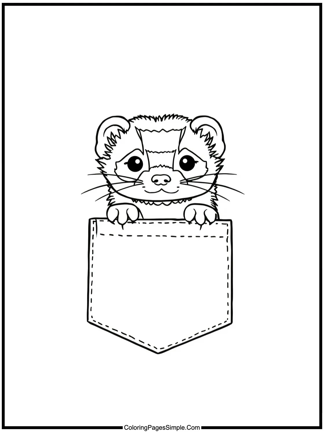 Little Ferret peeking out of pocket.