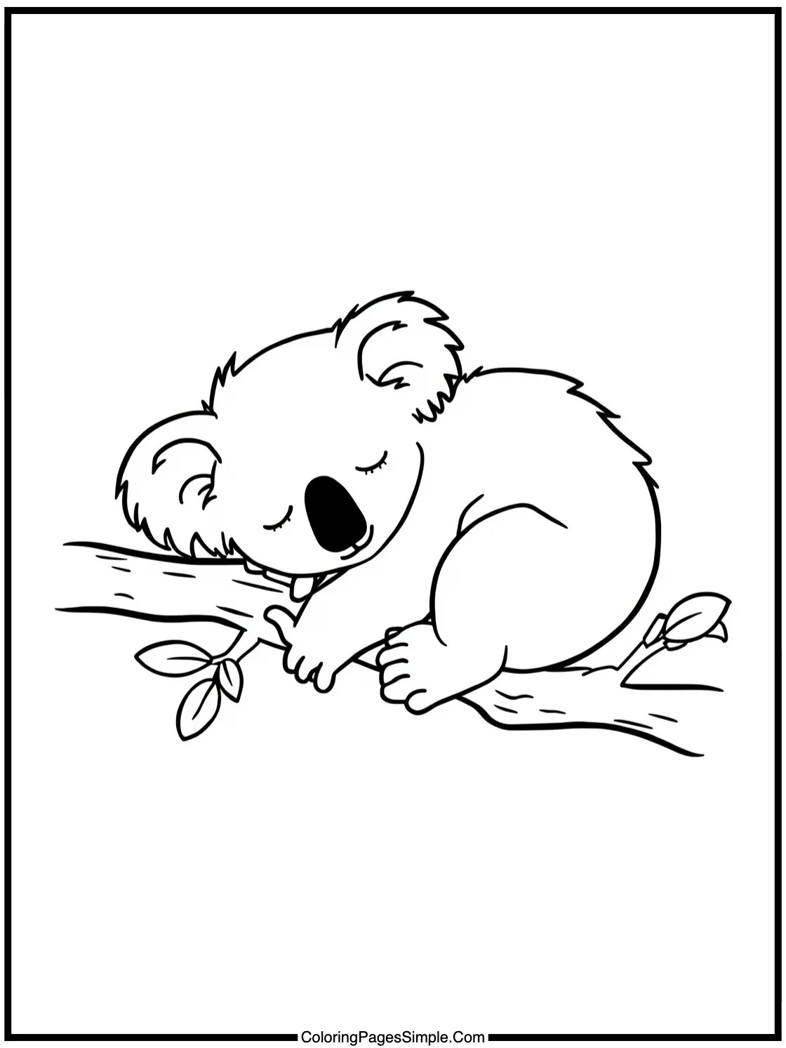 Little Koala bear sleeping on branch.