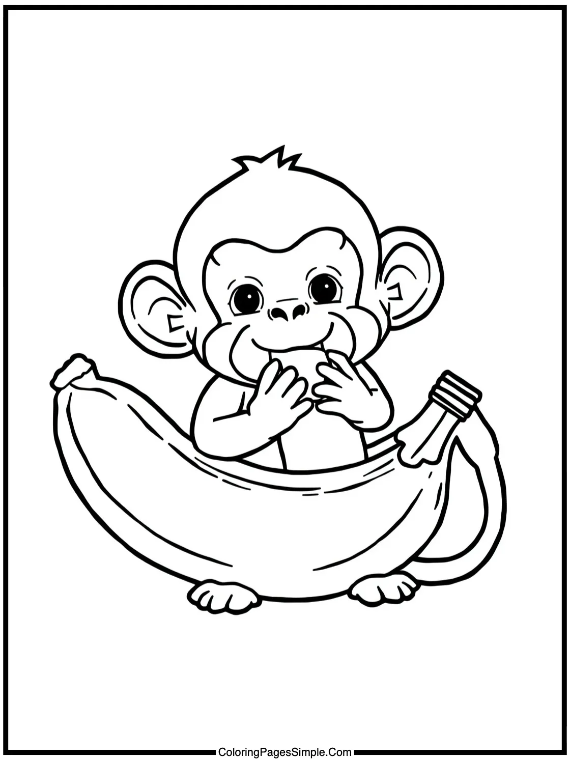 Little Monkey eating a huge banana.