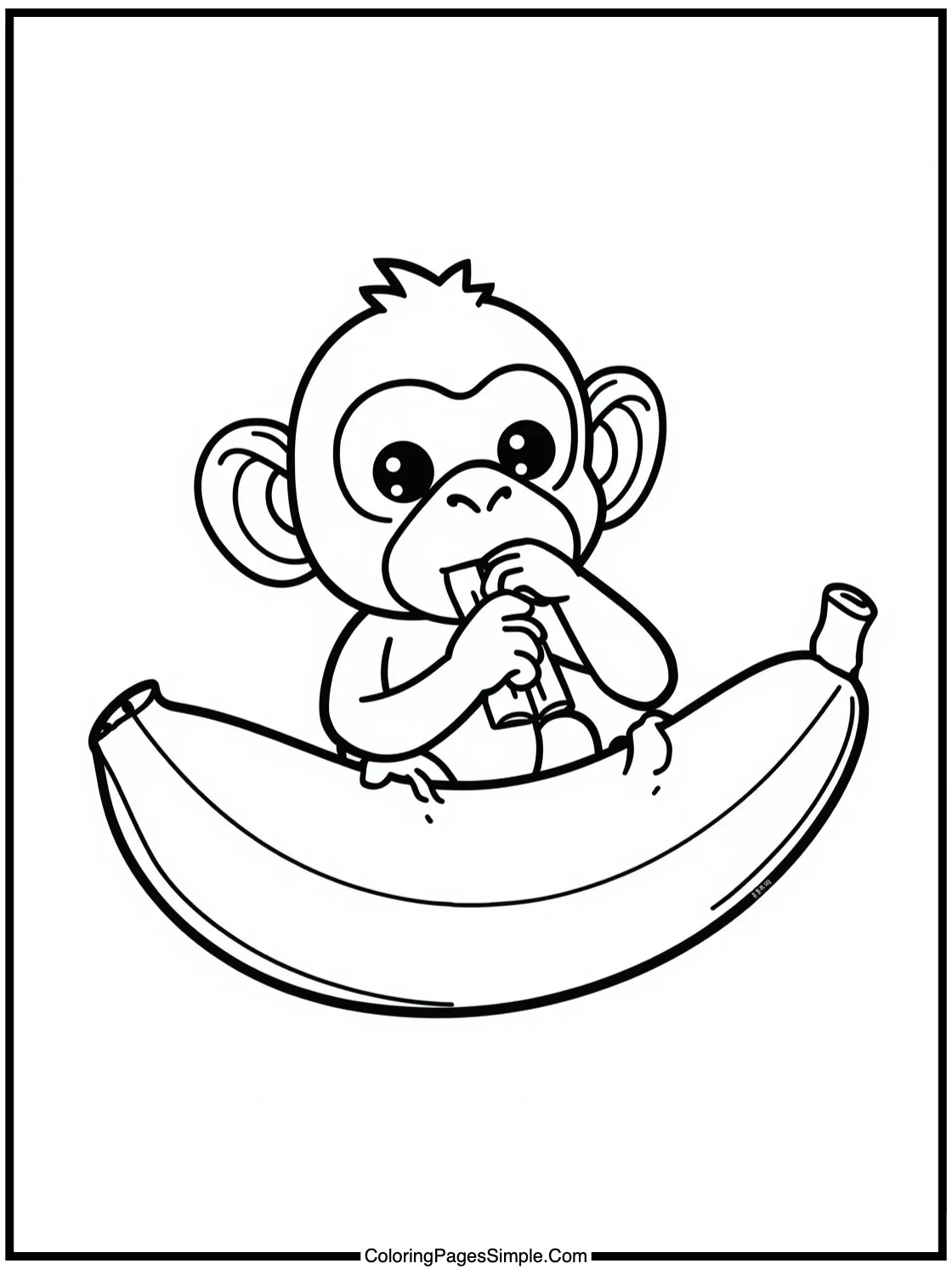 Little Monkey eating a huge banana.