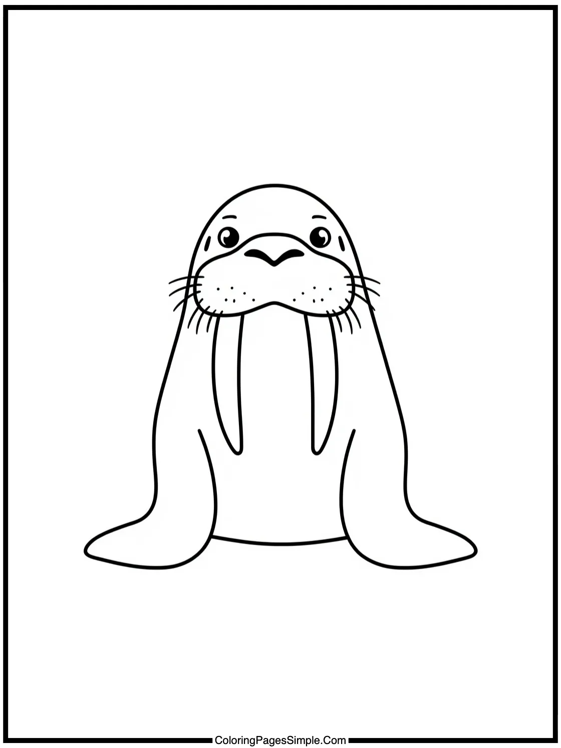 Little Walrus posing with big tusks.