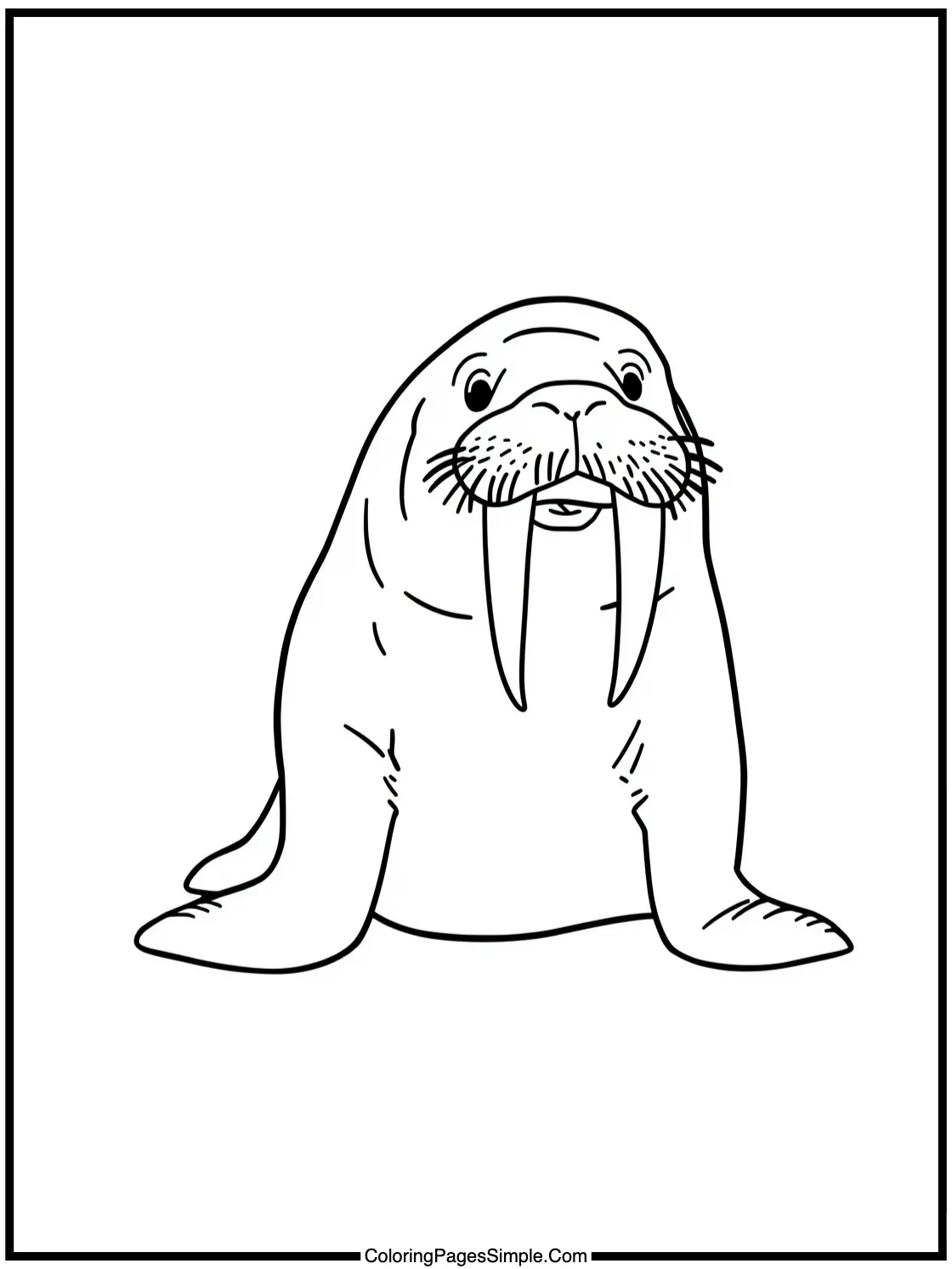 Little Walrus posing with big tusks.