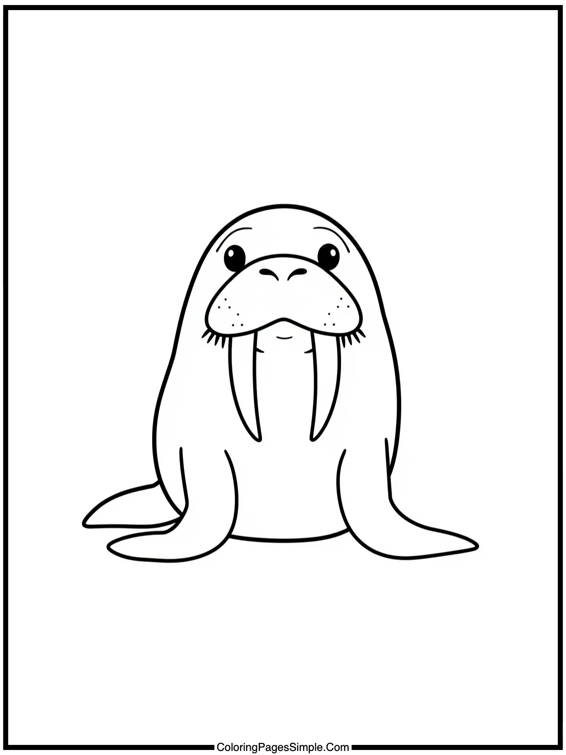 Little Walrus posing with big tusks.