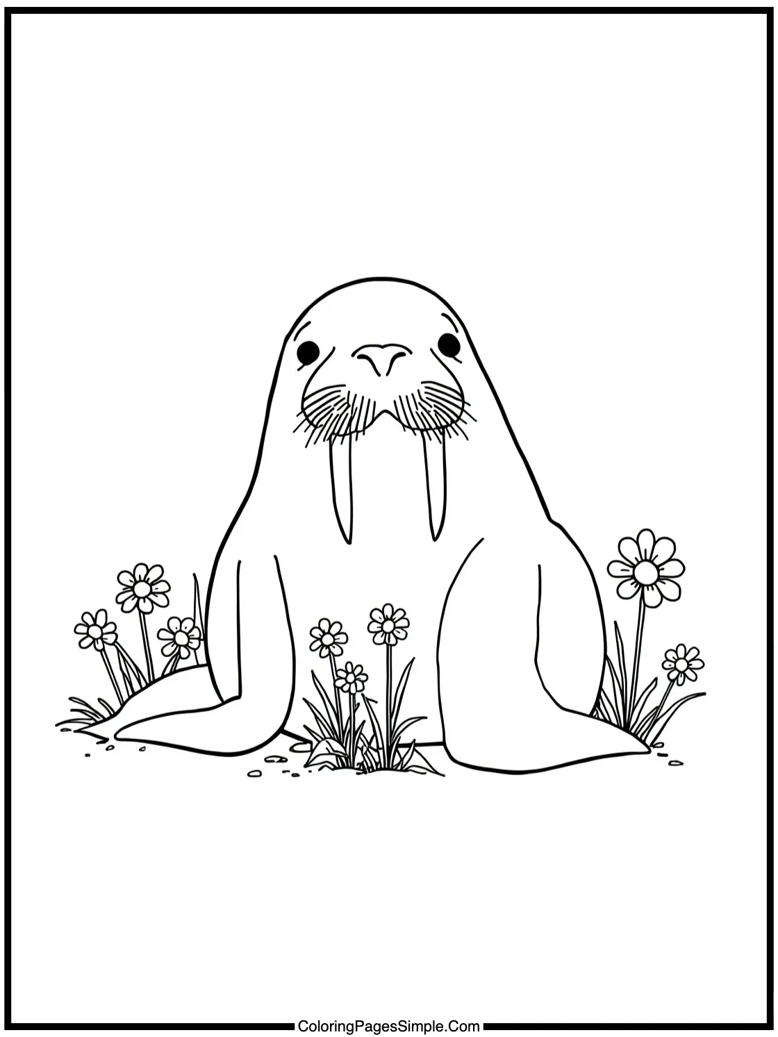 Little Walrus posing with tiny flowers.
