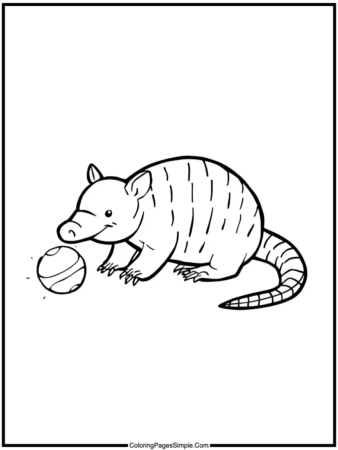 Little armadillo rolling into ball.