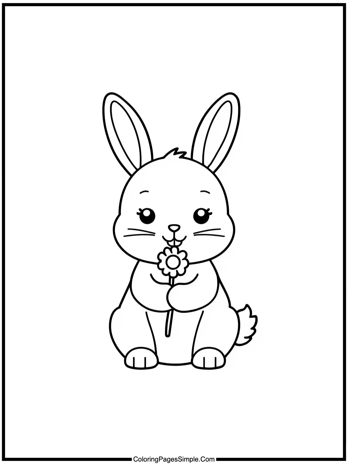 Little bunny holding a simple daisy.