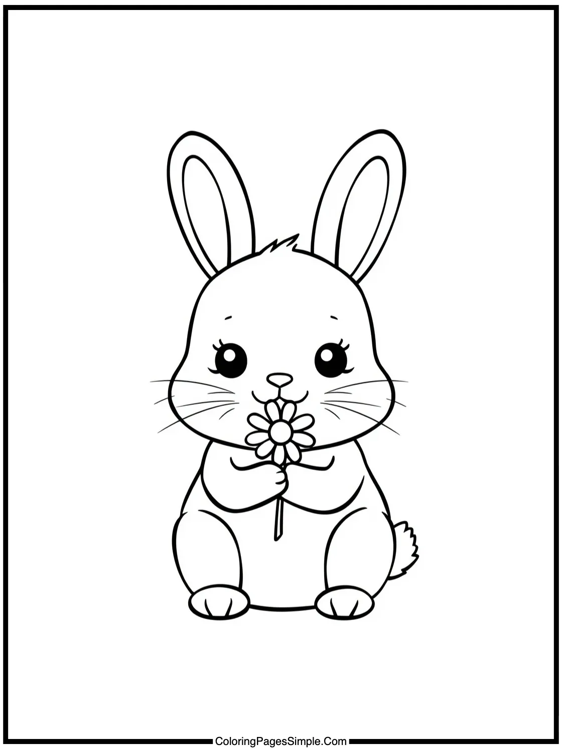 Little bunny holding a simple daisy.