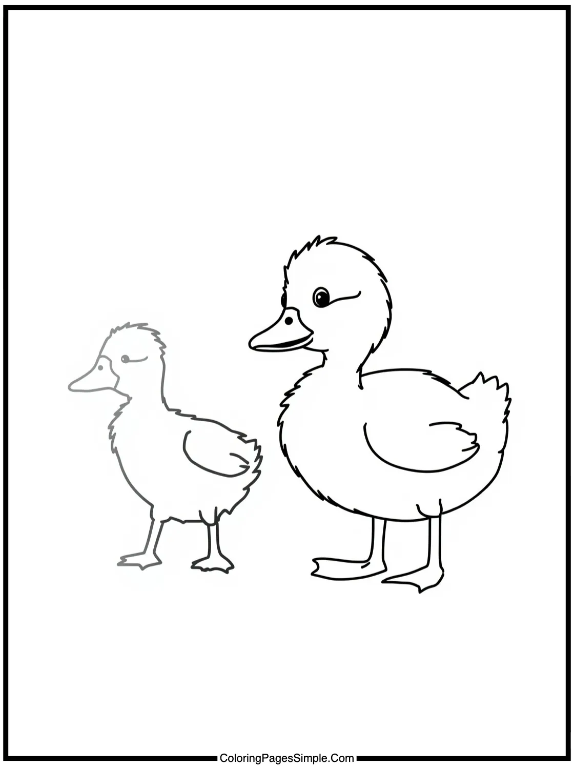 Little duckling following mama duck.