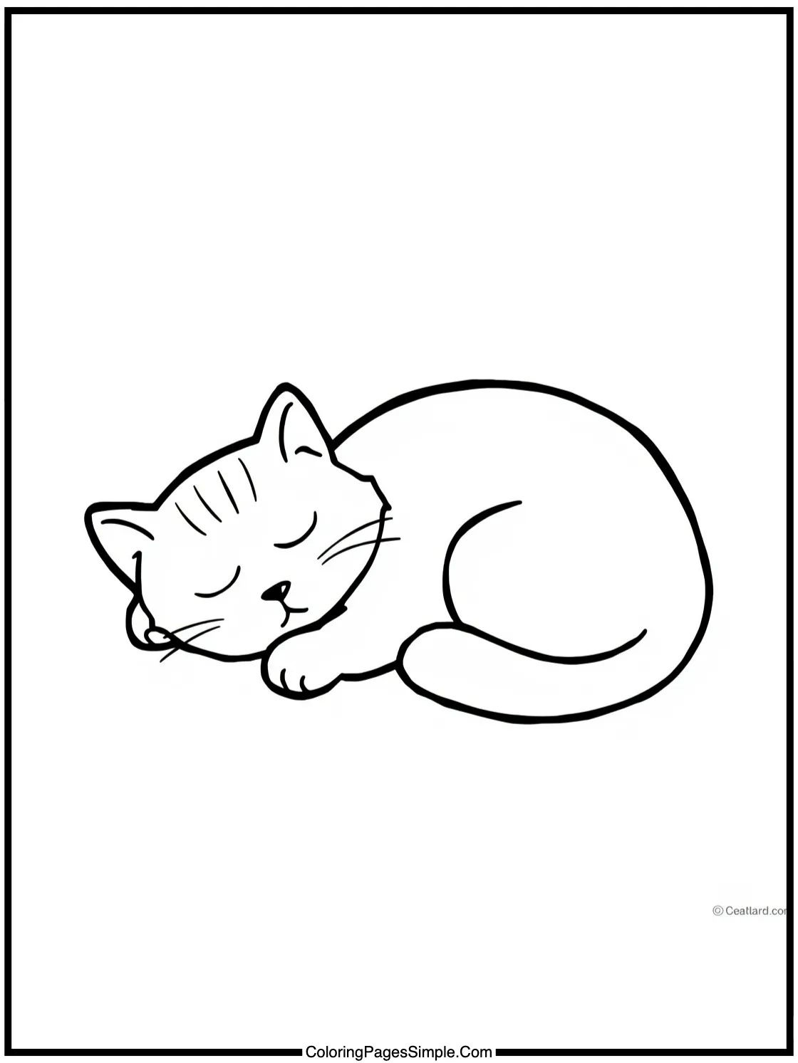 Little maine coon cat napping peacefully.