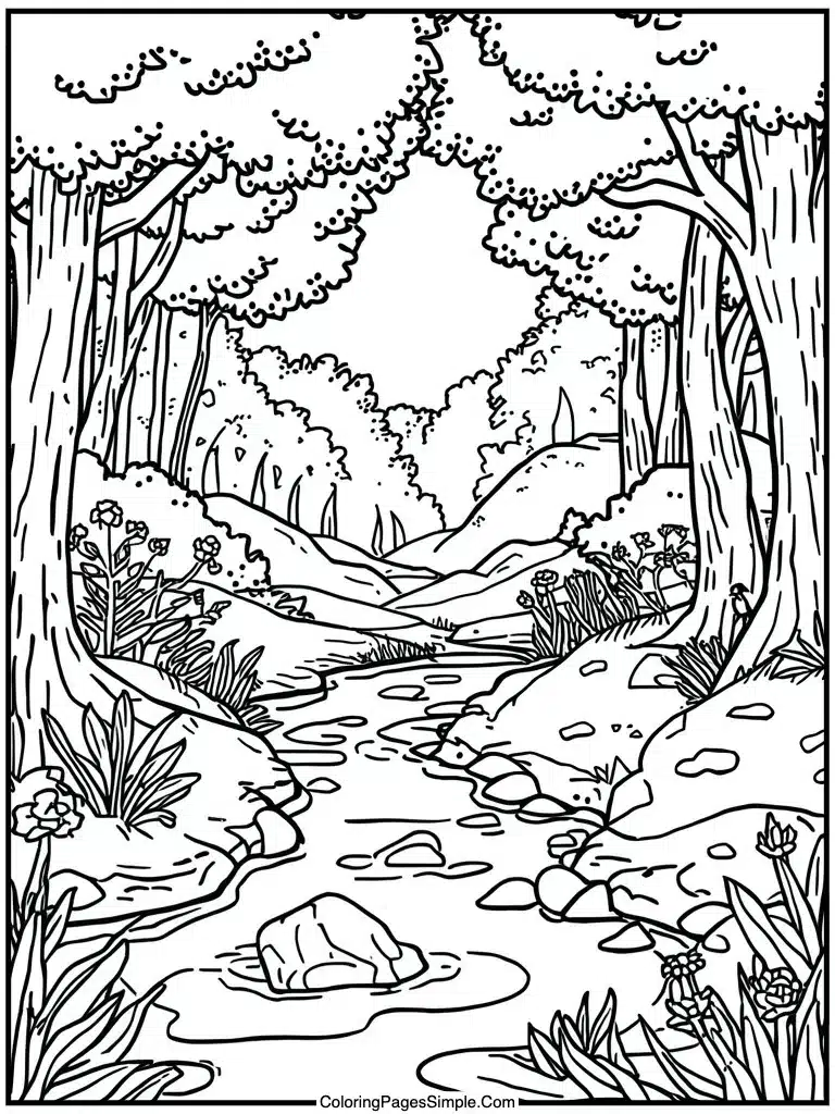  peaceful forest stream